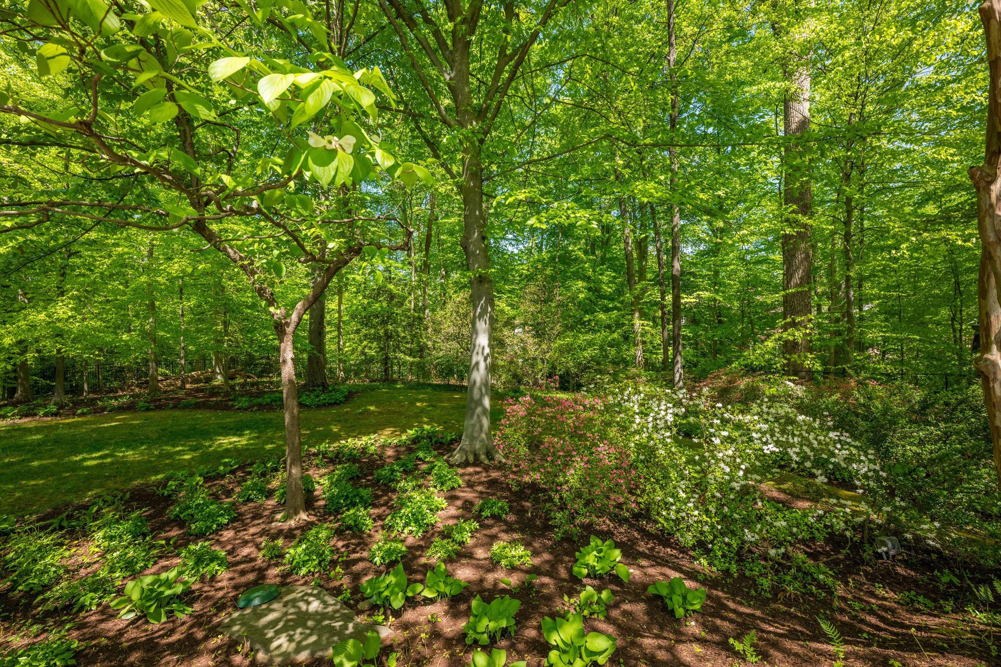  7019 Armat Drive, Bethesda, MD, 20817 - 物件實景