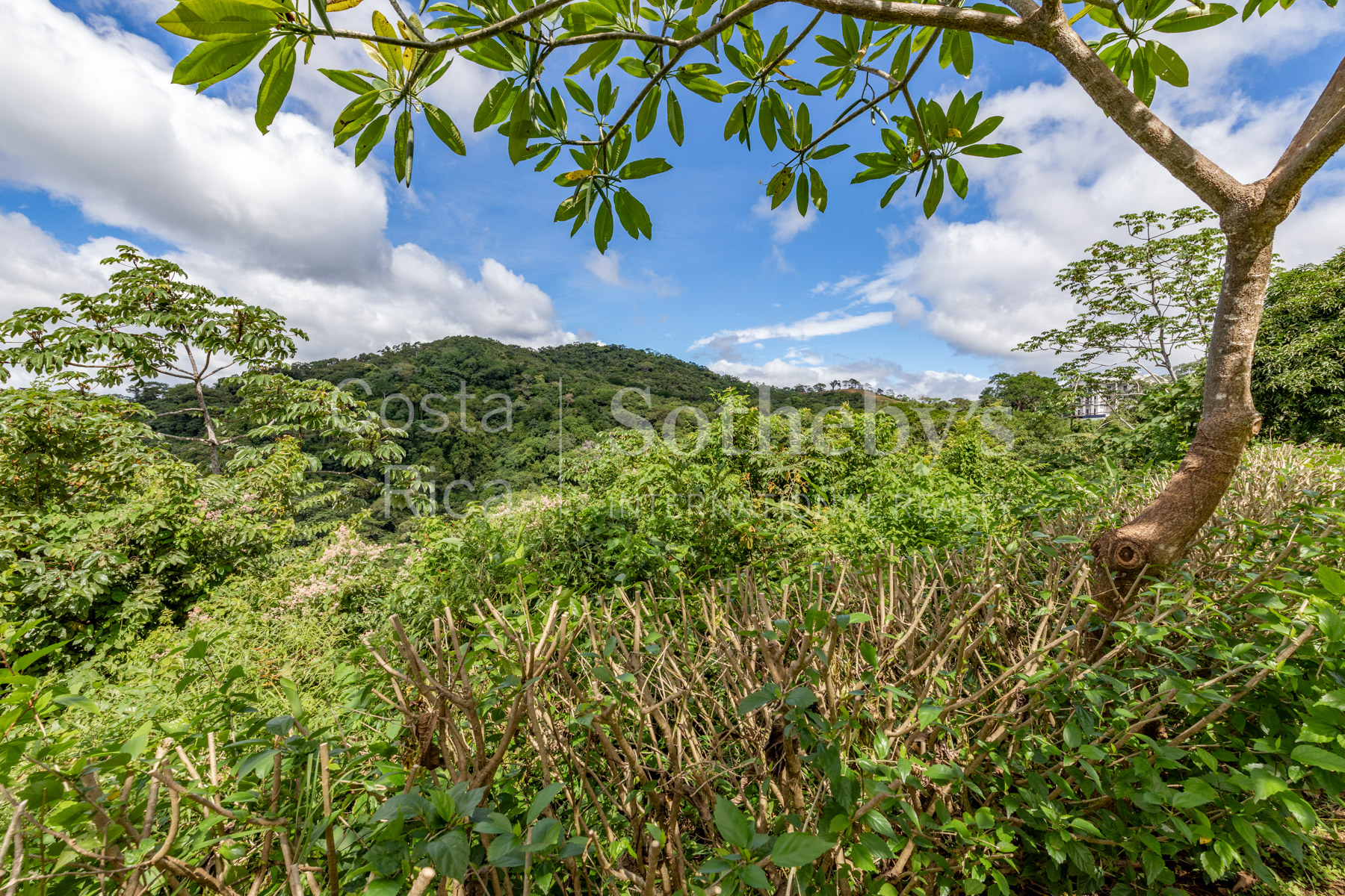  Vista Serena San Juan - 物件實景