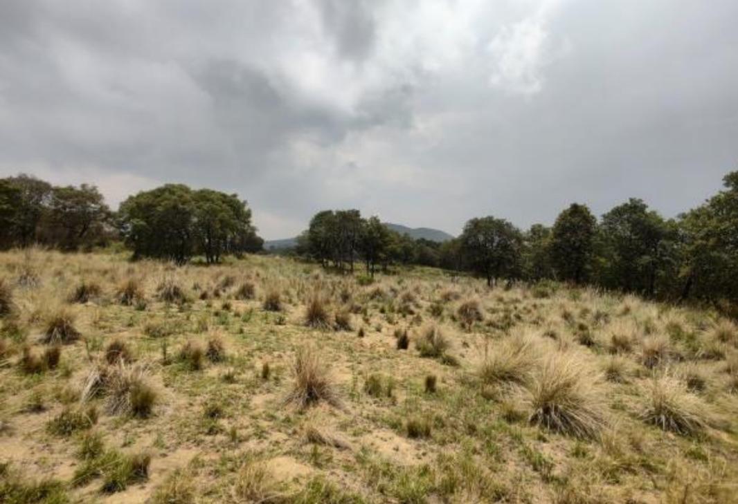 Camino sin nombre, Ayapango, Estado de México, 56760, Mexico, 1 Bedroom Bedrooms, ,Residential,For Sale,Camino sin nombre,1616925