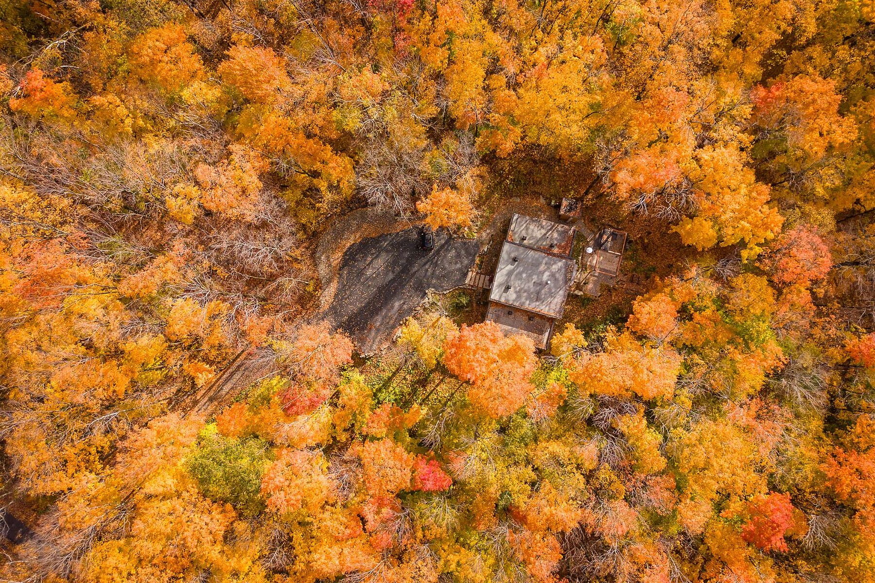  Sutton, Eastern Townships - 物件實景