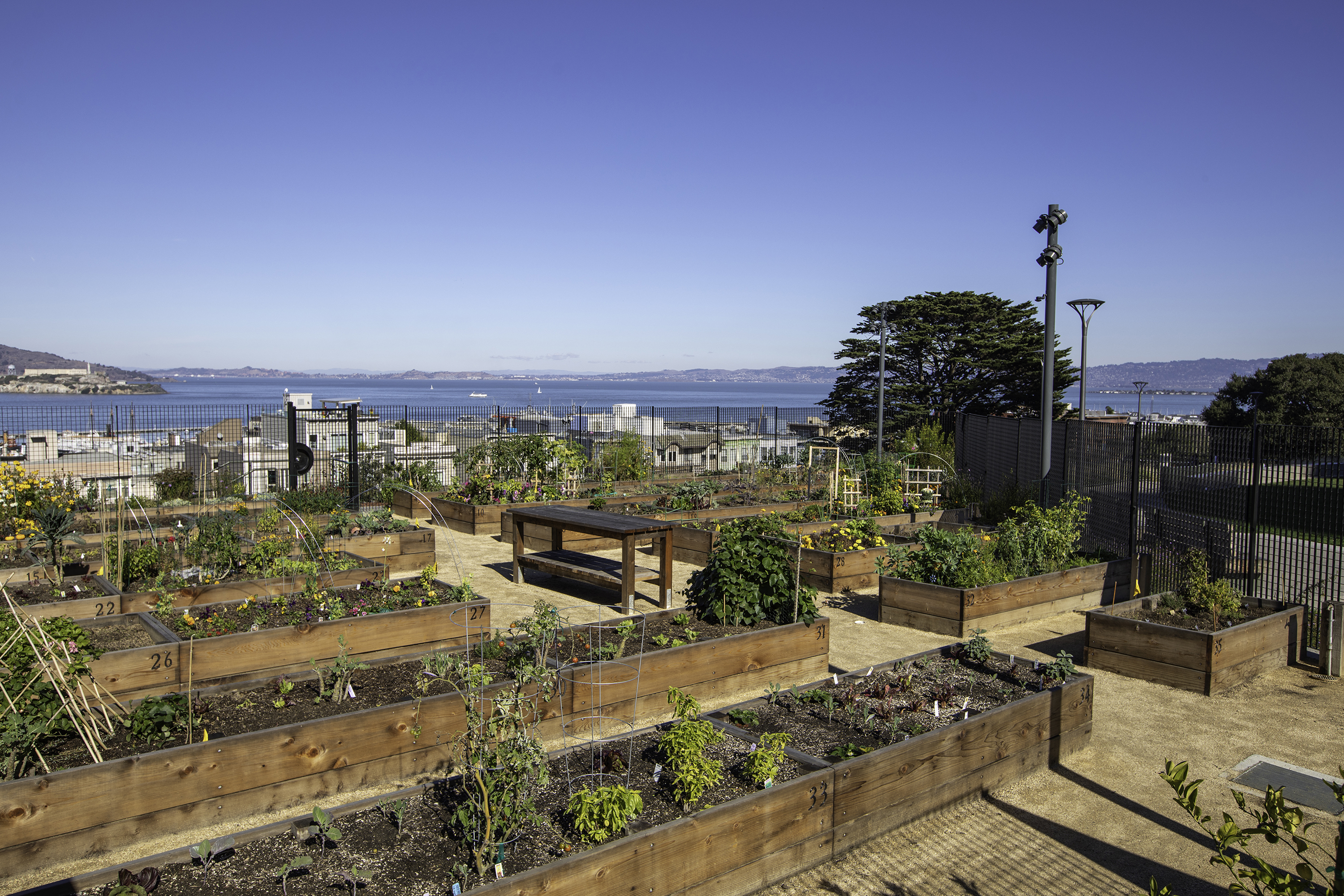  Russian Hill One-Bedroom North Bay Views - 物件實景