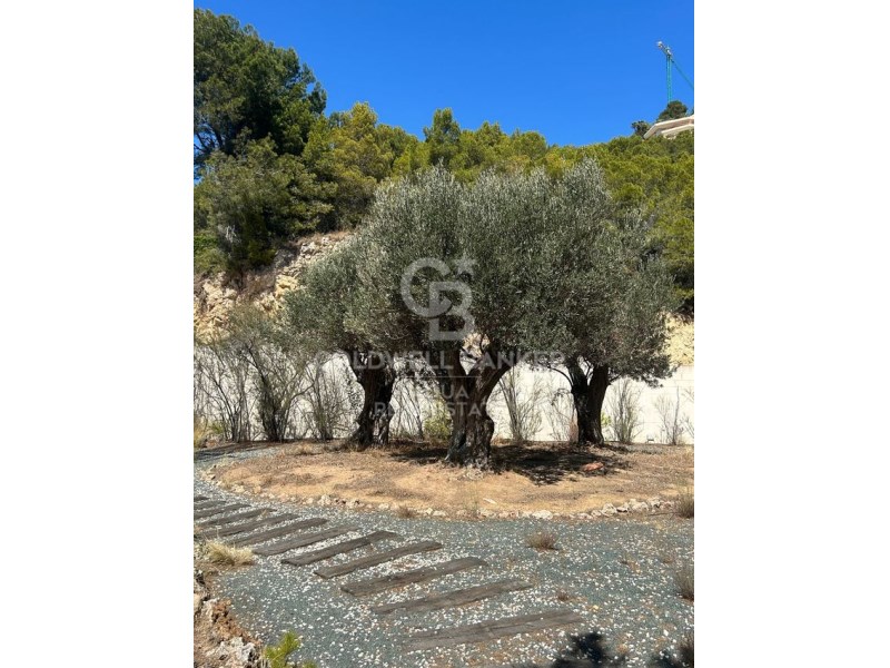Altea, Comunidad Valenciana, ES, 3 Bedrooms Bedrooms, ,2 BathroomsBathrooms,Residential,For Sale,1847060