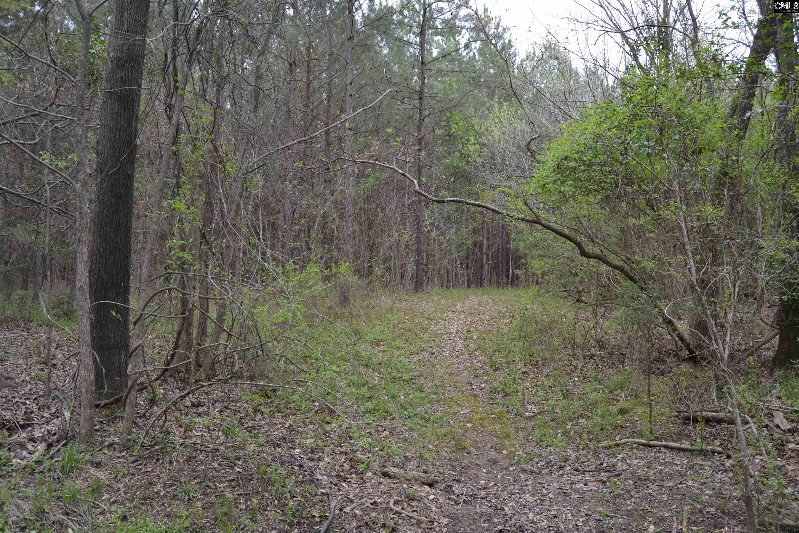  1309 Farming Creek Road  Irmo, South Carolina - 物件實景