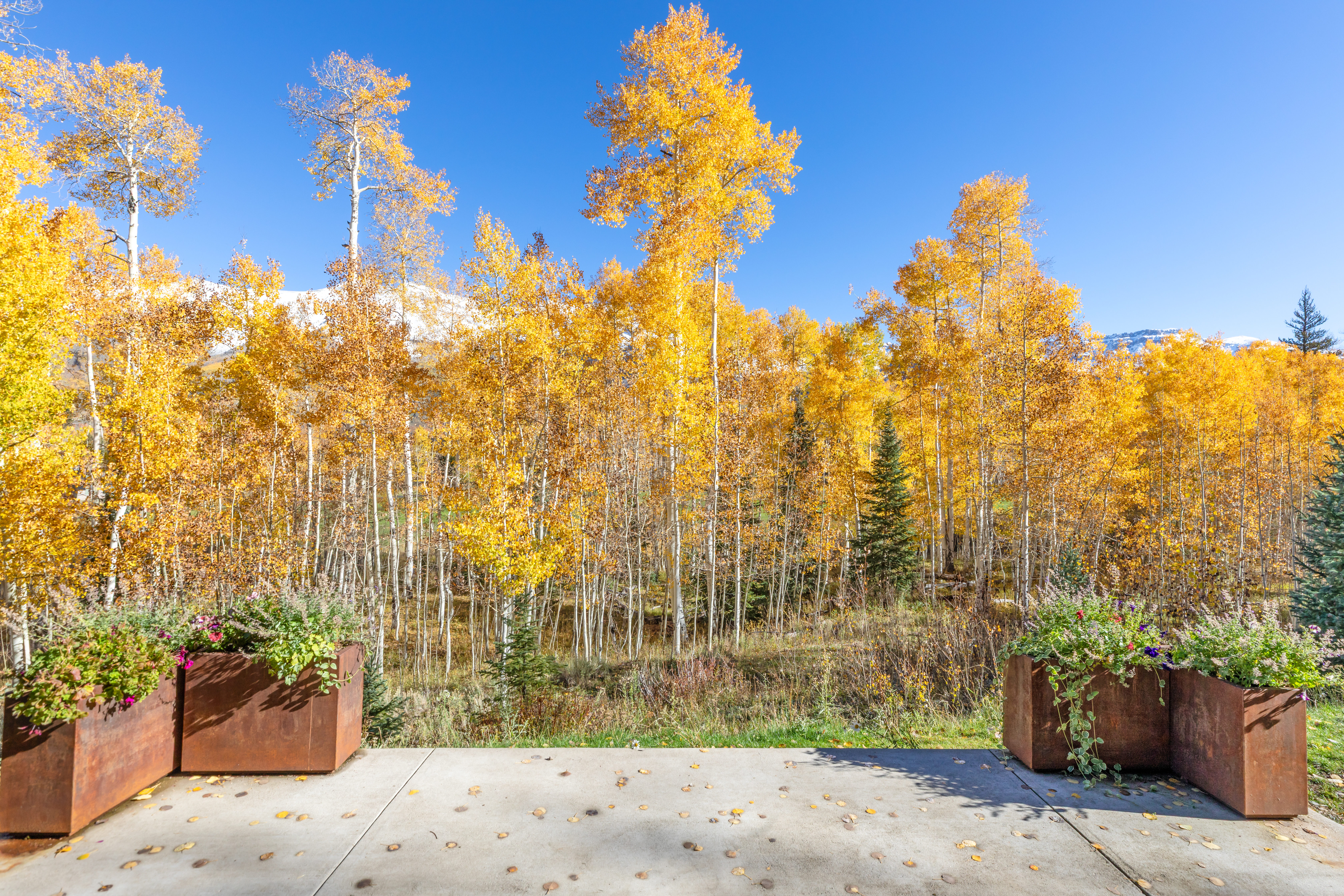  Set Among The Aspens On Just Over An Acre - 物件實景