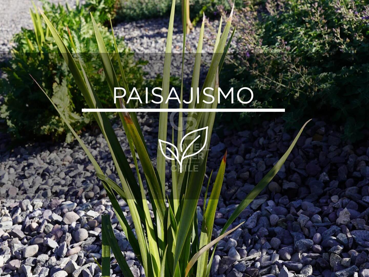 Colina, Chile, ,Land,For Sale,1940115