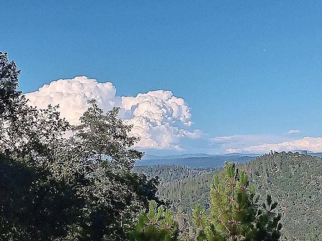 Grass Valley, California, 95949, United States, 2 Bedrooms Bedrooms, ,1 BathroomBathrooms,Residential,For Sale,1993836