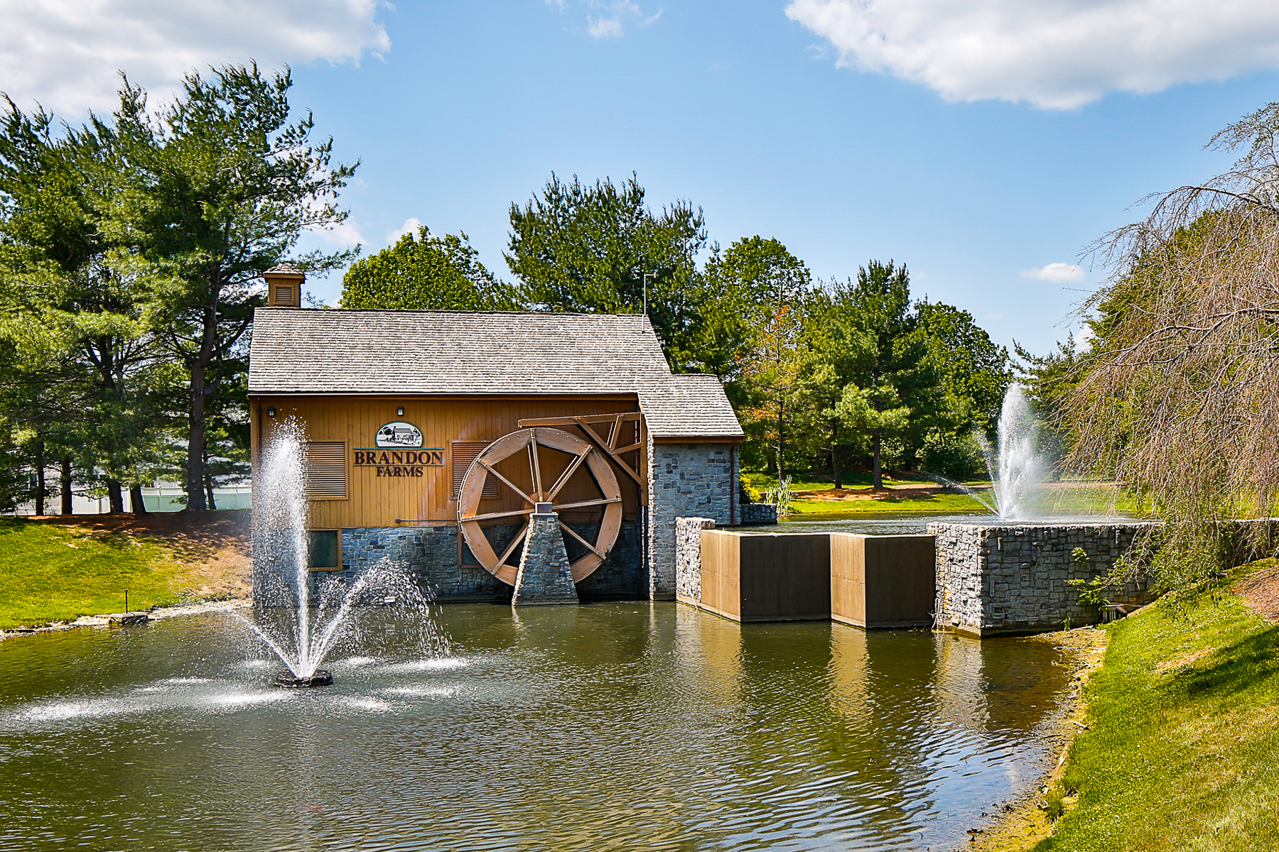 Stylish Updates and All the Conveniences of Brandon Farms - 物件實景