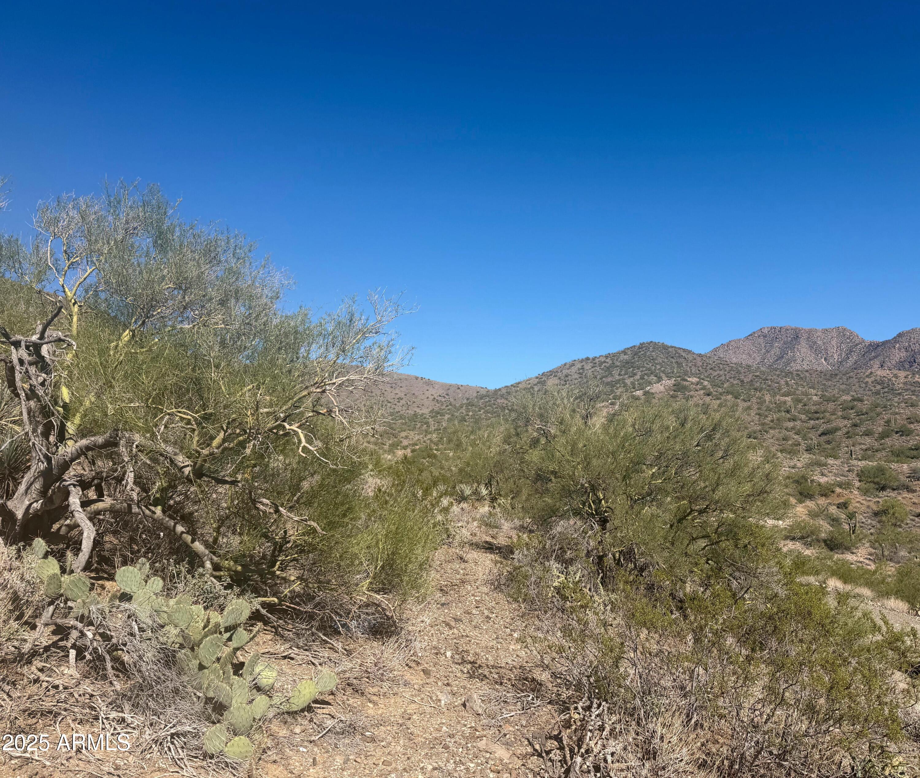 Congress, Arizona, 85332, United States, ,Land,For Sale,1983814