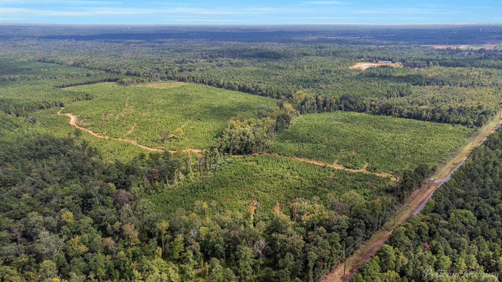 0 Highway 157 Highway, Haughton, Louisiana, 71037, United States, ,Land,For Sale,0 Highway 157 Highway,1646378