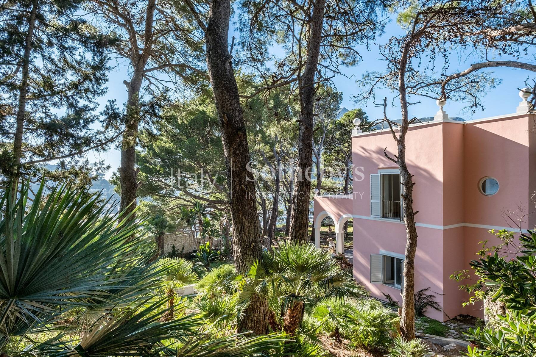 Monumental villa overlooking the sea of Capri - 物件實景