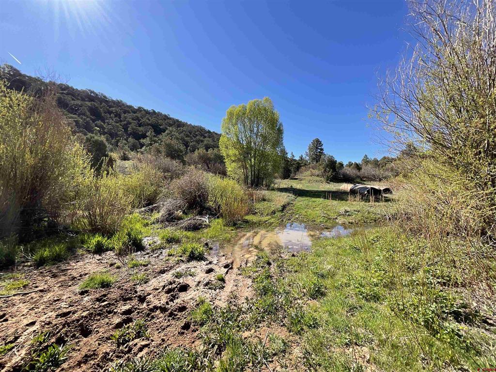 Montrose, Colorado, 81403, United States, ,Land,For Sale,1919926