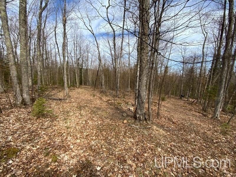 TBD W US 41, Marquette, Michigan, 49855, United States, ,Residential,For Sale,TBD W US 41,1601608