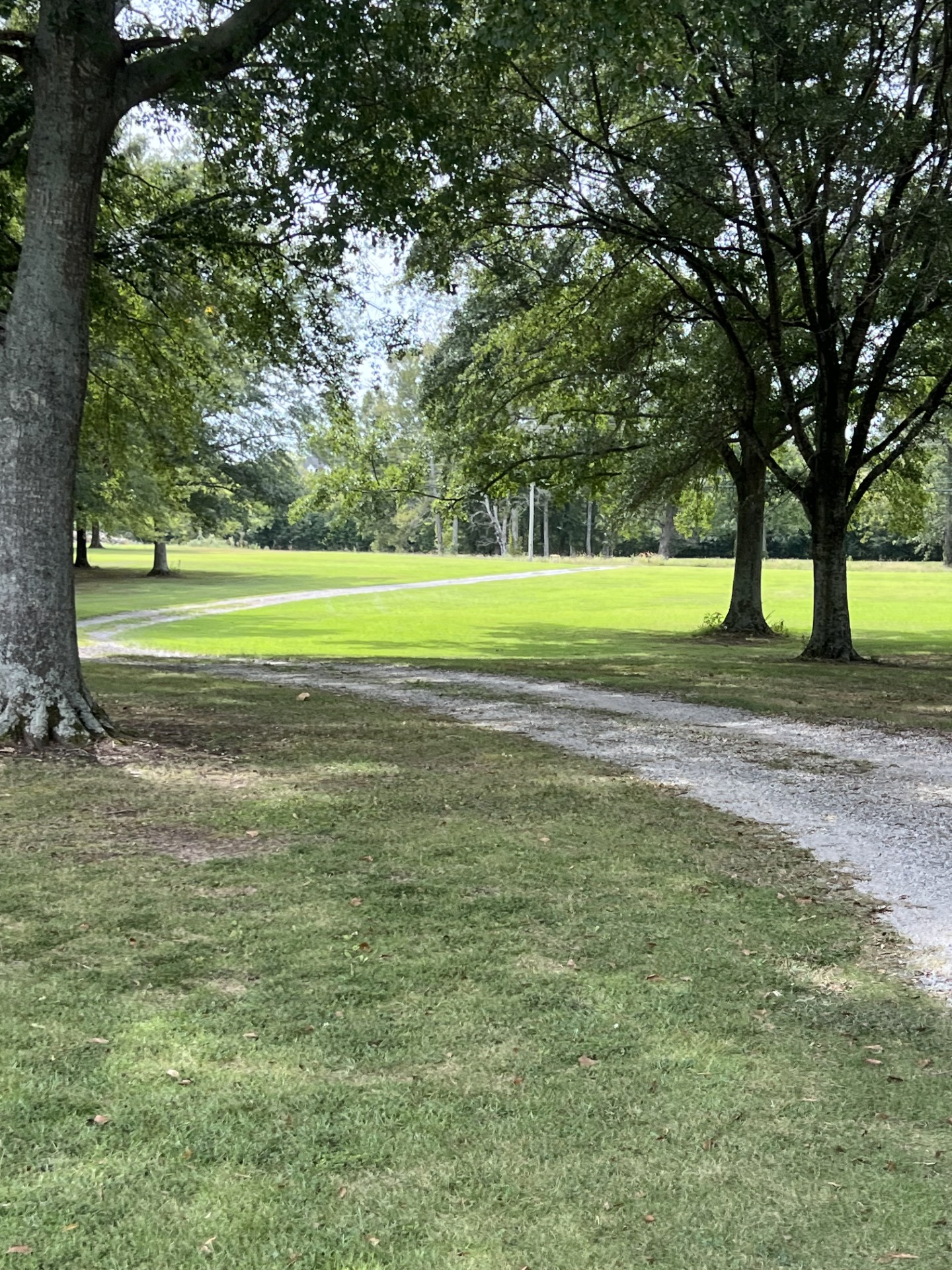 Moulton, Alabama, 35650, United States, 3 Bedrooms Bedrooms, ,2 BathroomsBathrooms,Residential,For Sale,1981747