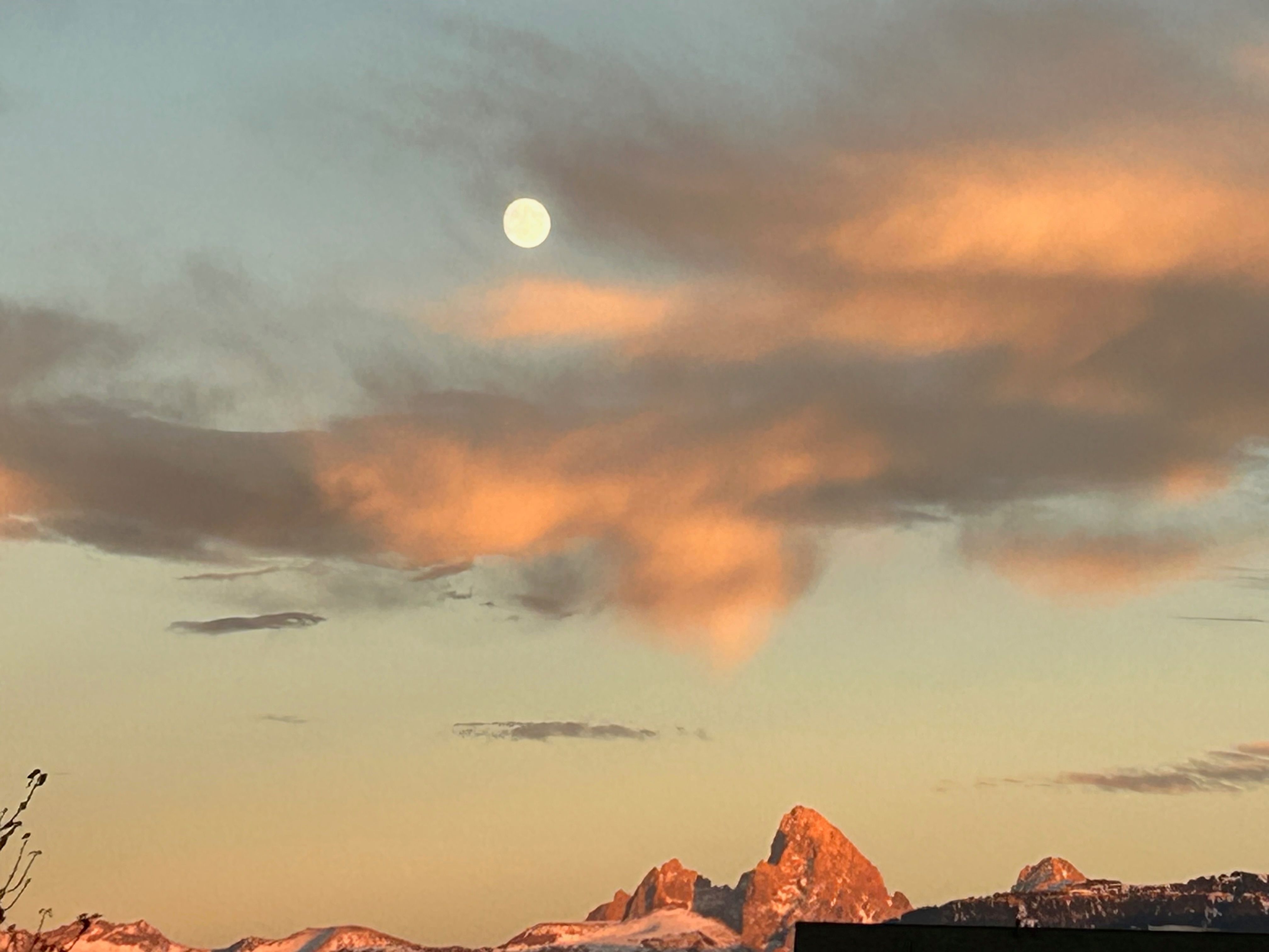  Hubbard Way - 物件實景