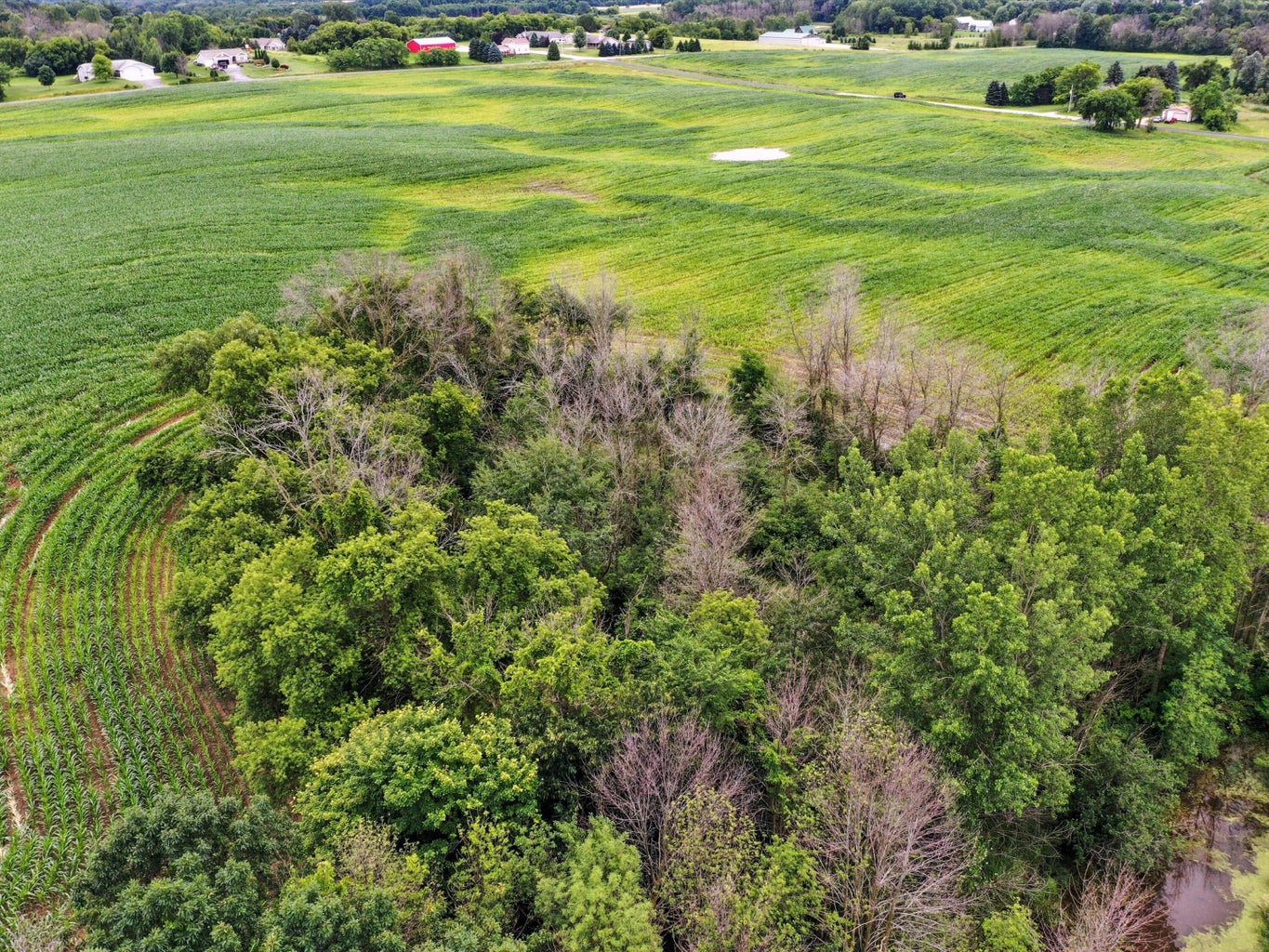 Franklin, Wisconsin, 54247, United States, ,Residential,For Sale,1895286