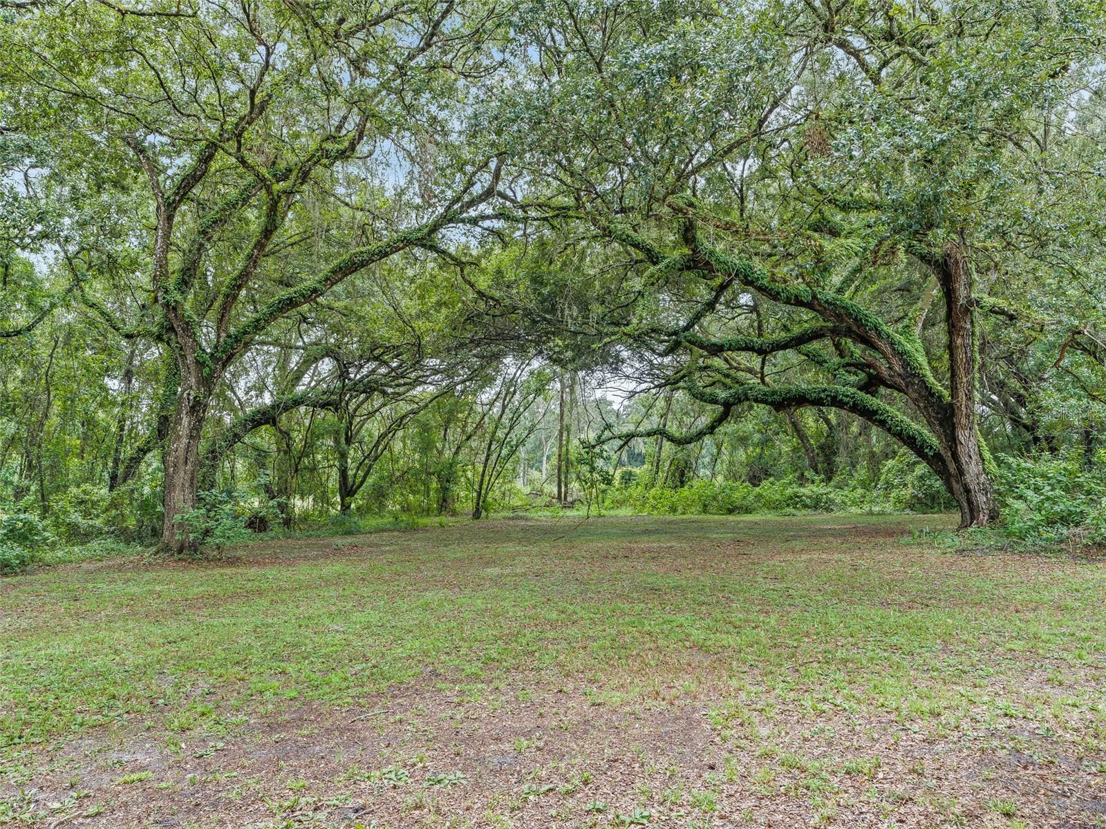 Bushnell, Florida, 33513, United States, 2 Bedrooms Bedrooms, ,2 BathroomsBathrooms,Residential,For Sale,1927706