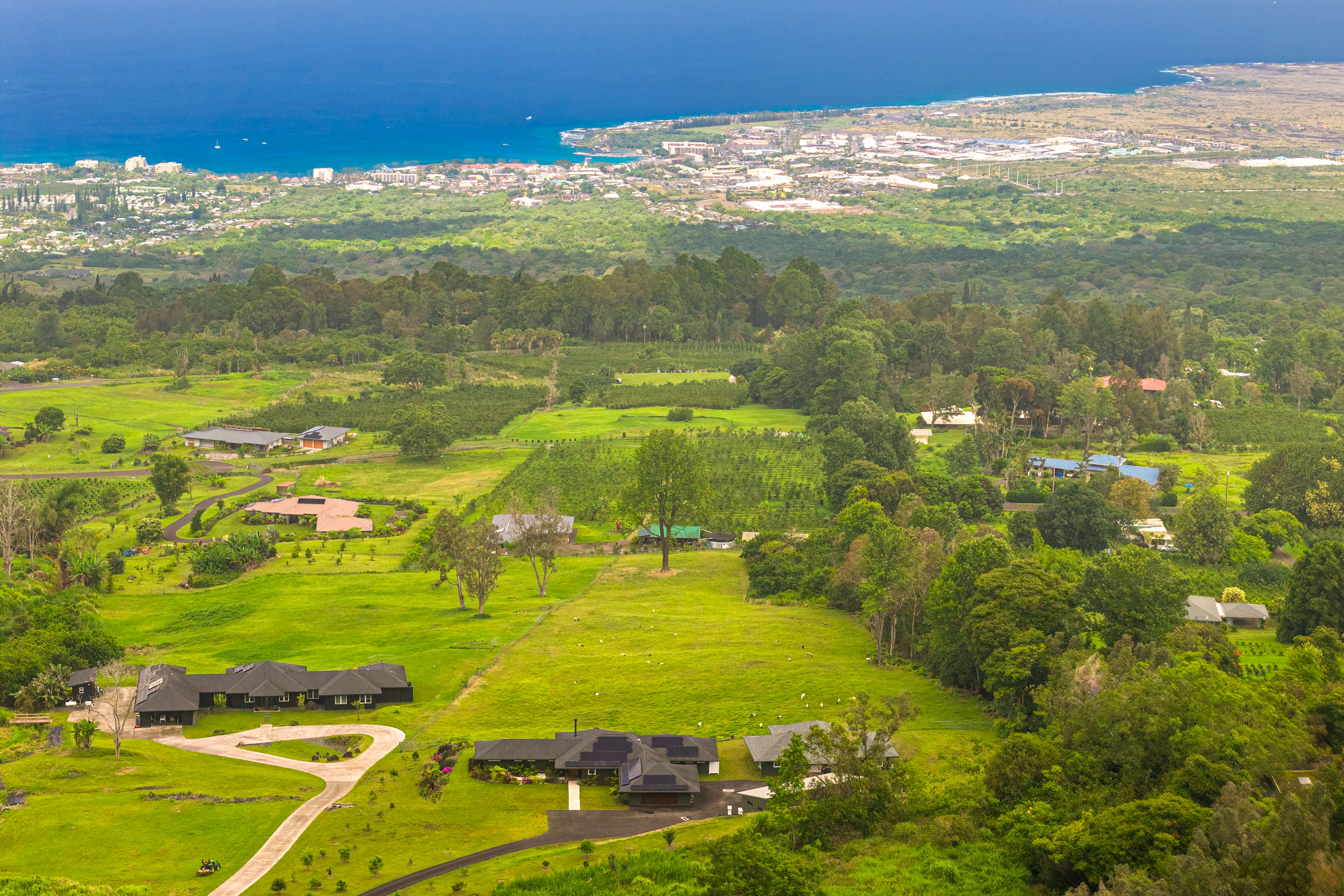  75-5400 Nanaina Pl, Holualoa, HI 96725 - 物件實景
