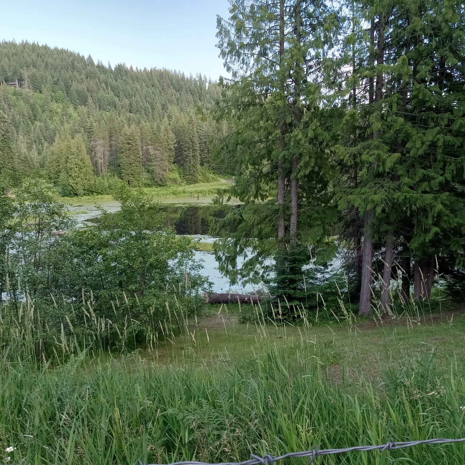 Sandpoint, Idaho, 83864, United States, 5 Bedrooms Bedrooms, ,3 BathroomsBathrooms,Residential,For Sale,1792102