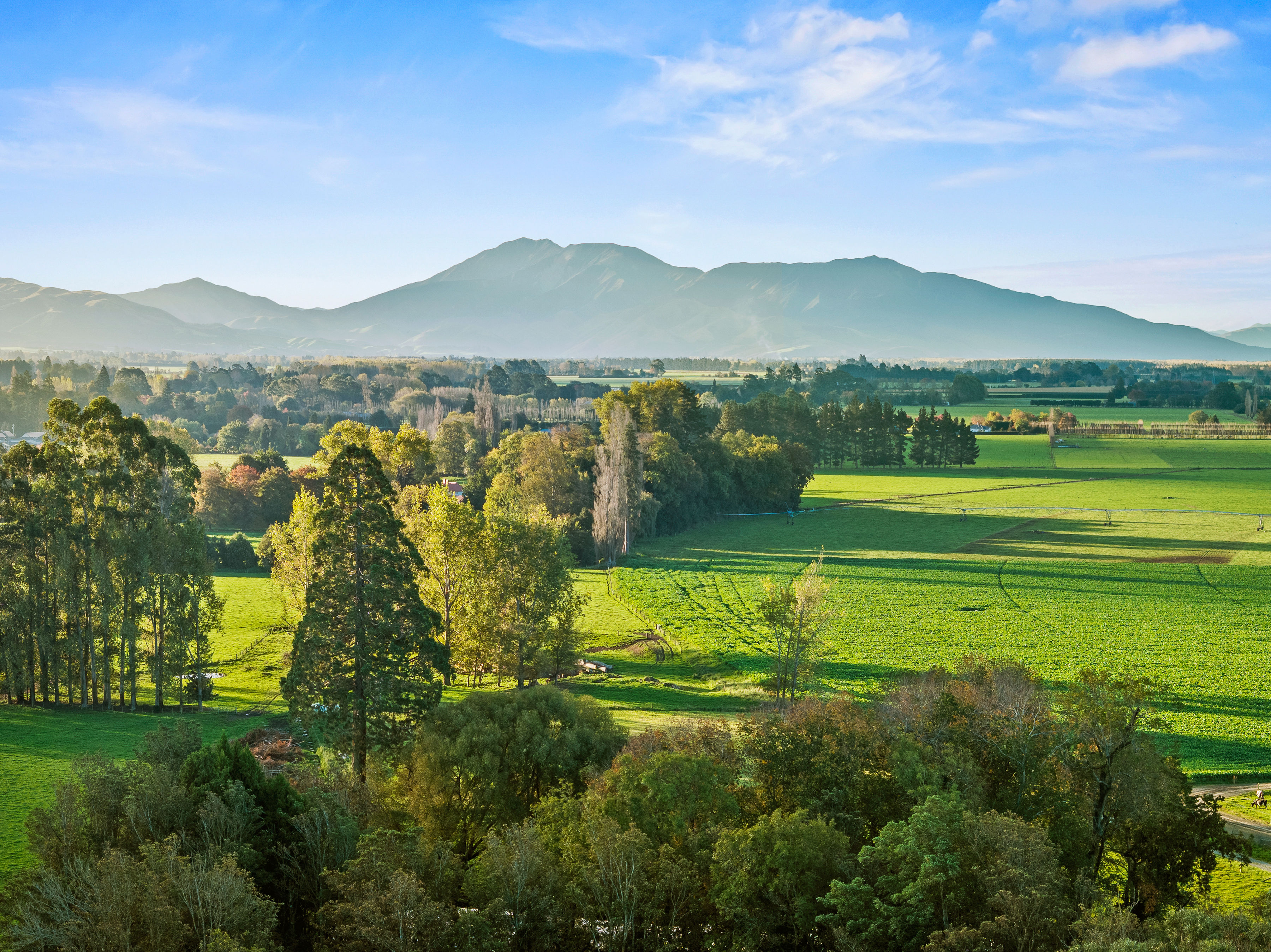  Landmark Homestead rezoned with substantial landbank - 物件實景