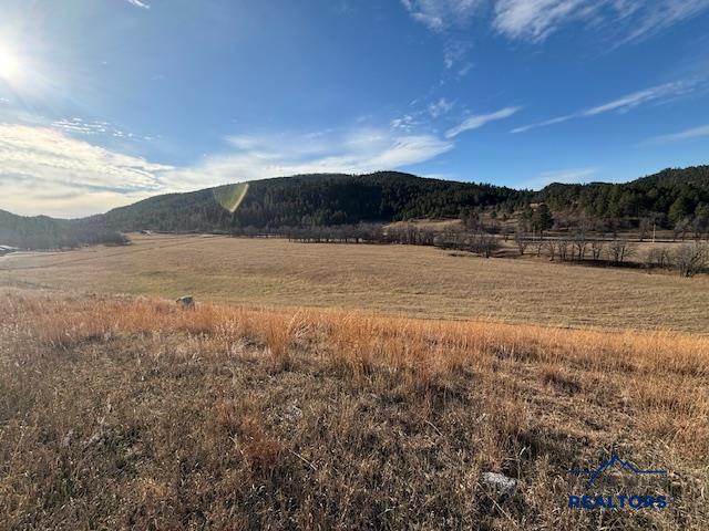 Whitewood, South Dakota, 57793, United States, ,Land,For Sale,2005970