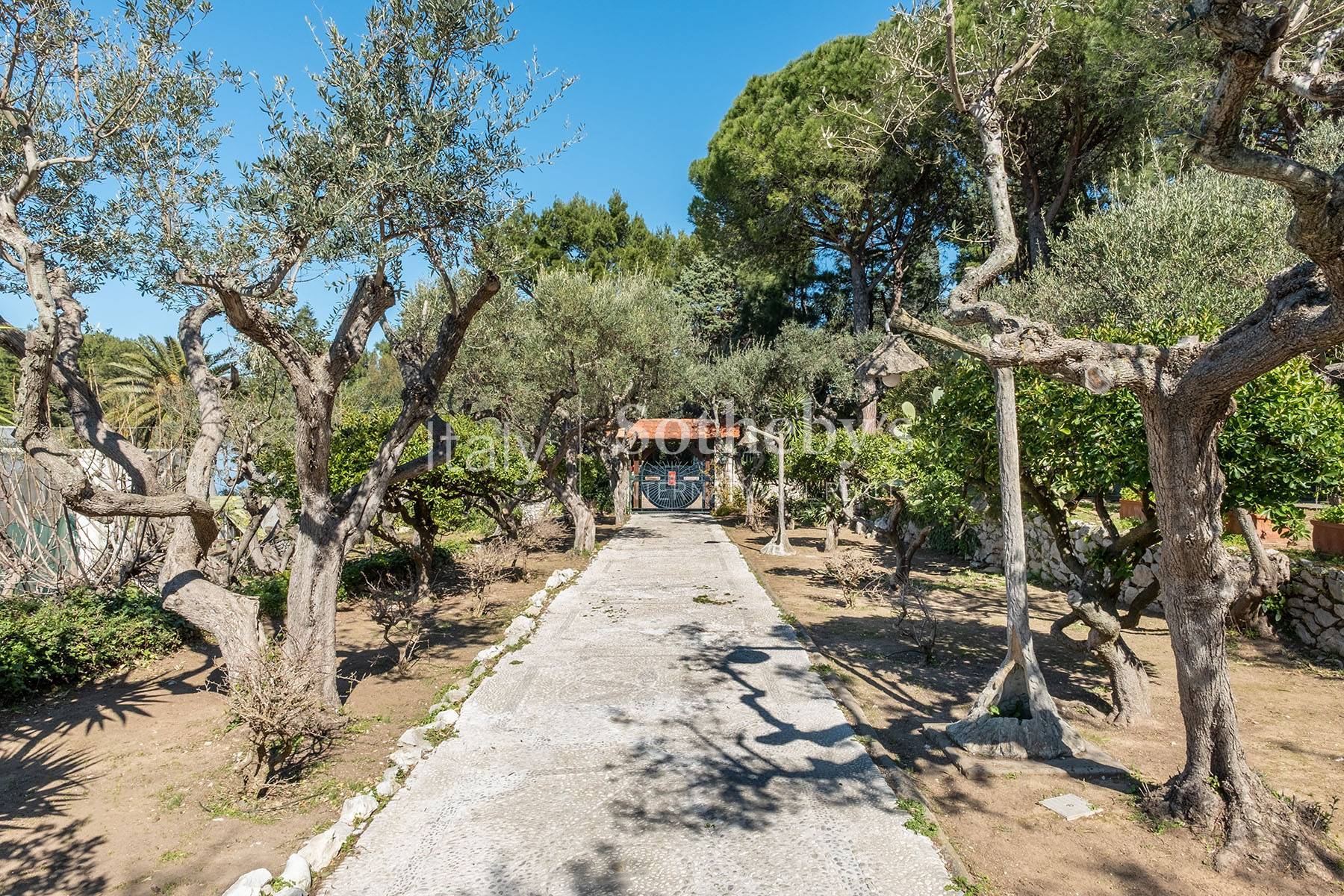  Wonderful villa with garden and seaview in Anacapri - 物件實景