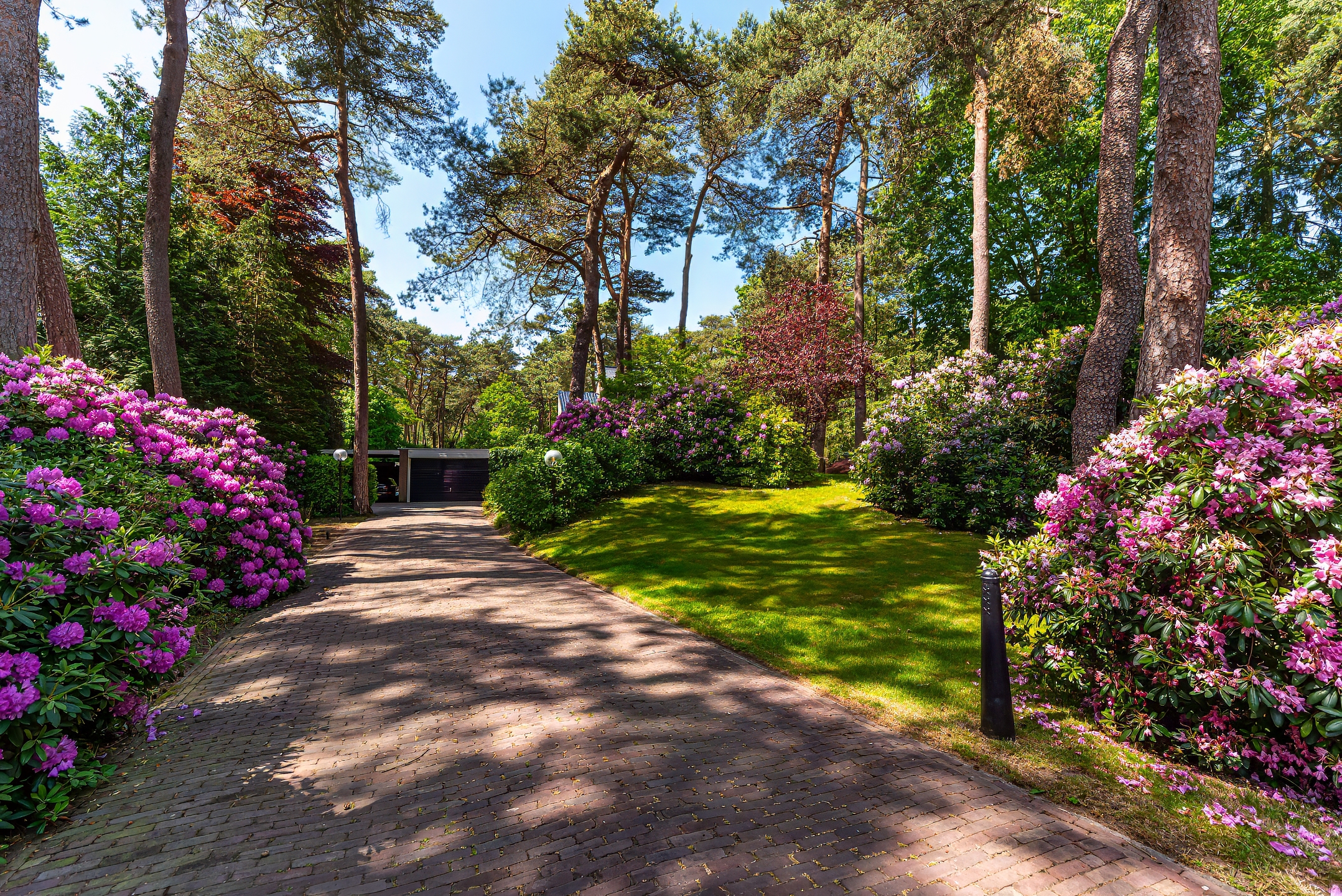  A Private Park Estate in the Heart of Bosch en Duin - 物件實景