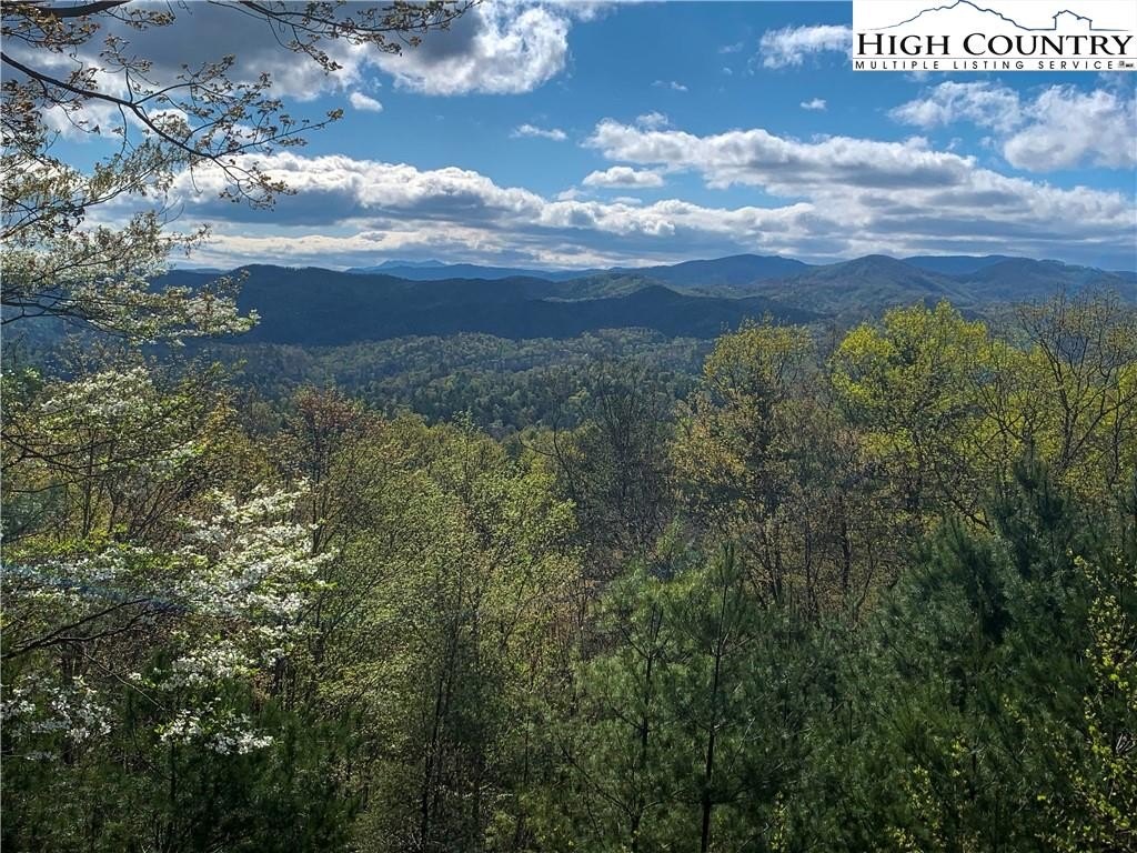 Ferguson, North Carolina, 28624, United States, 2 Bedrooms Bedrooms, ,2 BathroomsBathrooms,Residential,For Sale,1996766