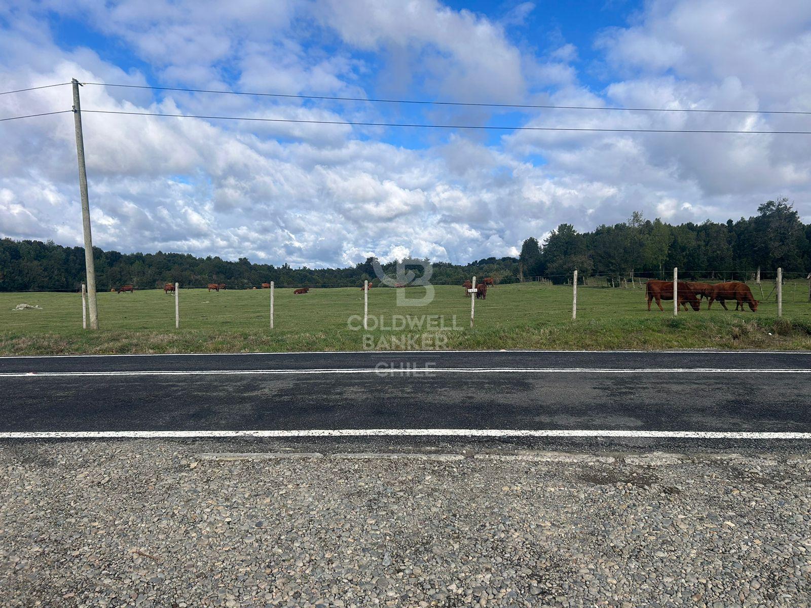 Puerto Varas, Chile, ,Residential,For Sale,2003315