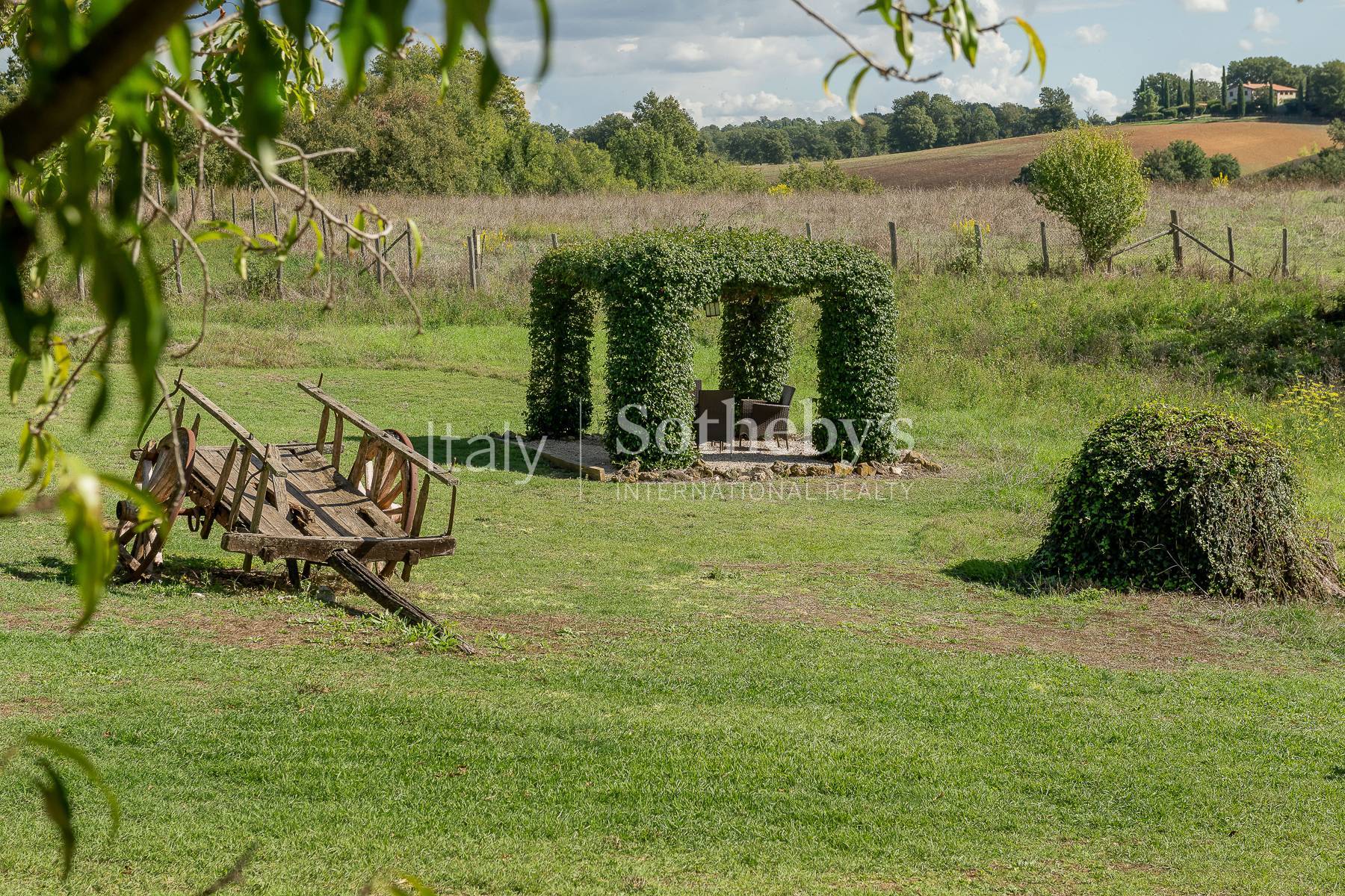  Charming Country Estate with Pool and Olive Grove in Maremma - 物件實景