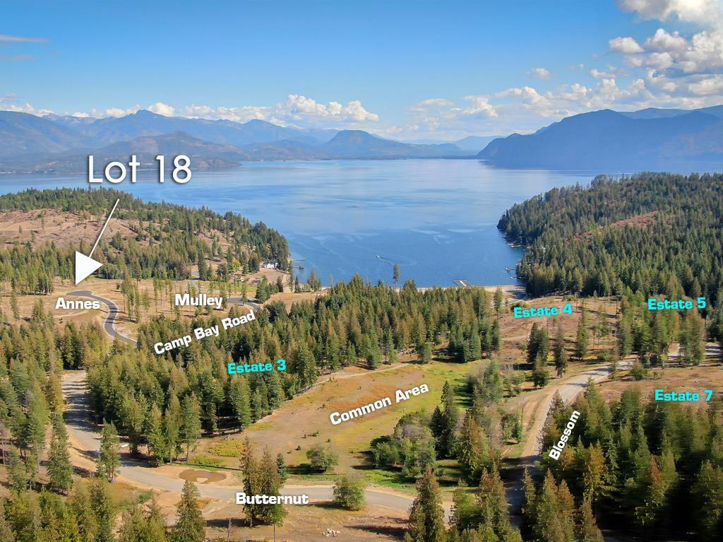 Sagle, Idaho, 83860, United States, ,Land,For Sale,1983081