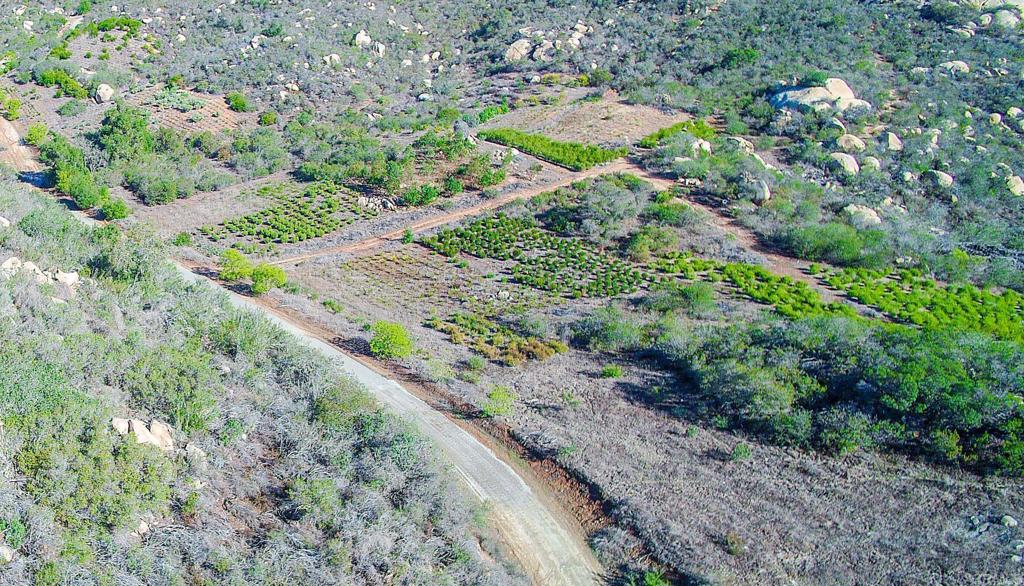 0 Supale Ranch Rd, Fallbrook, California, 92028, United States, ,Land,For Sale,0 Supale Ranch Rd,1435058