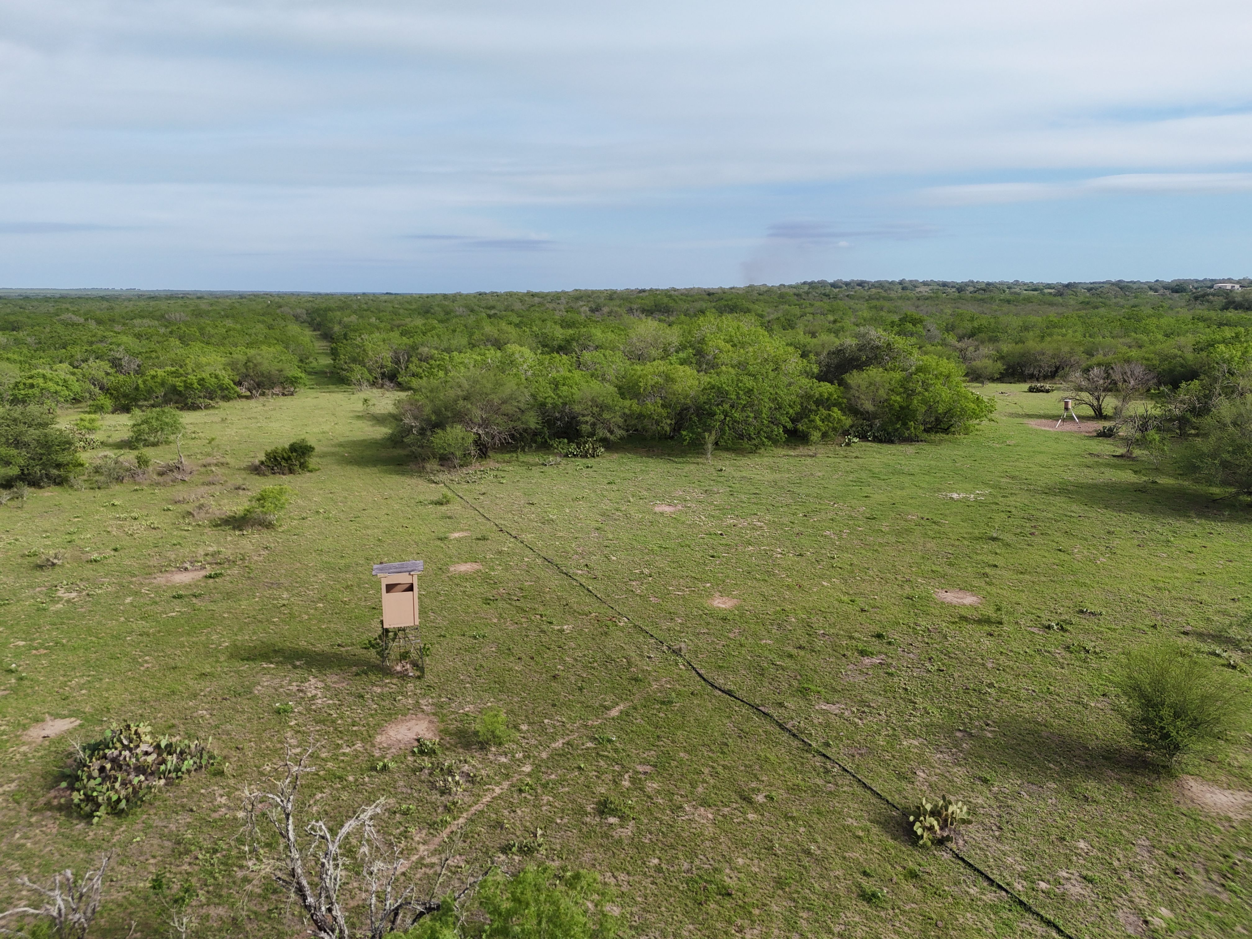  810+/- Acre Cabeza Creek Ranch - 物件實景