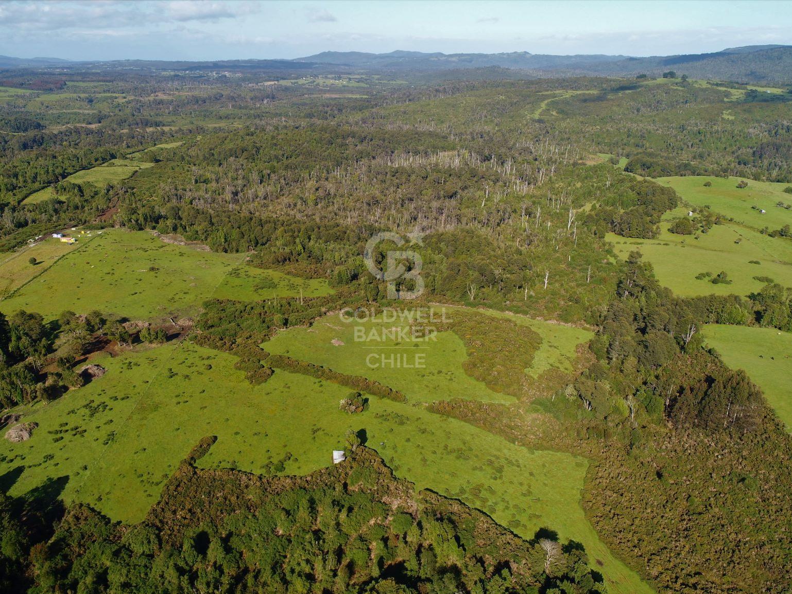 Ancud, Chile, ,Residential,For Sale,1759284