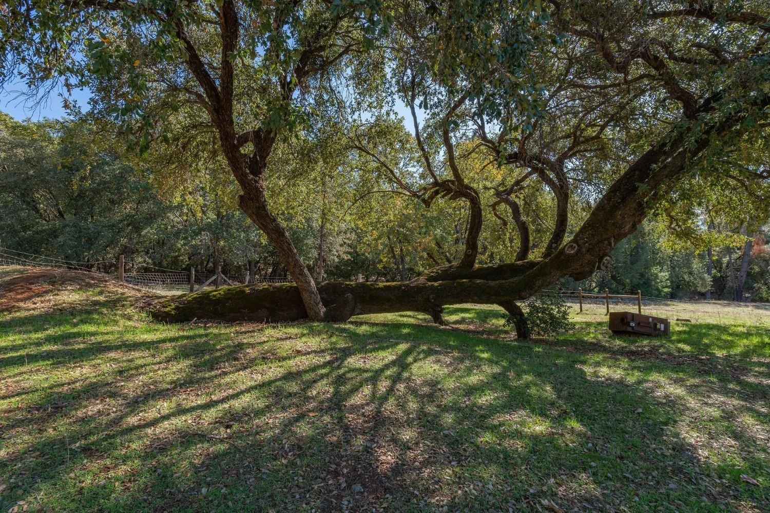Mokelumne Hill, California, 95245, United States, 5 Bedrooms Bedrooms, ,3 BathroomsBathrooms,Residential,For Sale,1914362