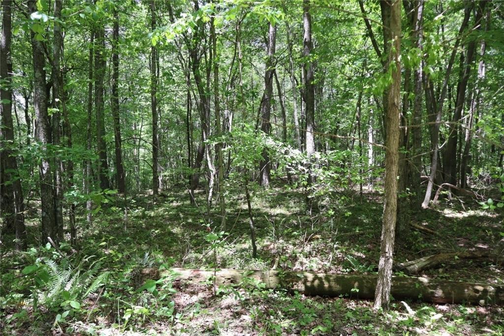 Ellijay, Georgia, 30540, United States, ,Residential,For Sale,1881390