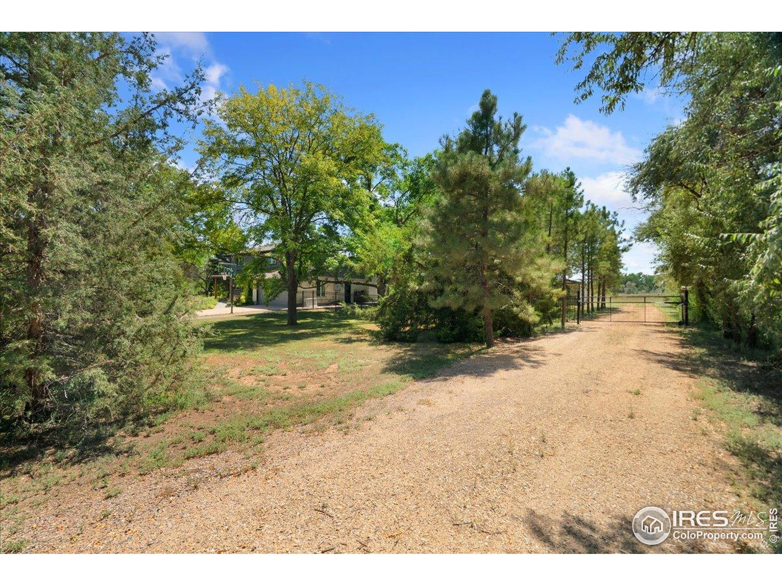Longmont, Colorado, 80504, United States, 5 Bedrooms Bedrooms, ,1 BathroomBathrooms,Residential,For Sale,1933238