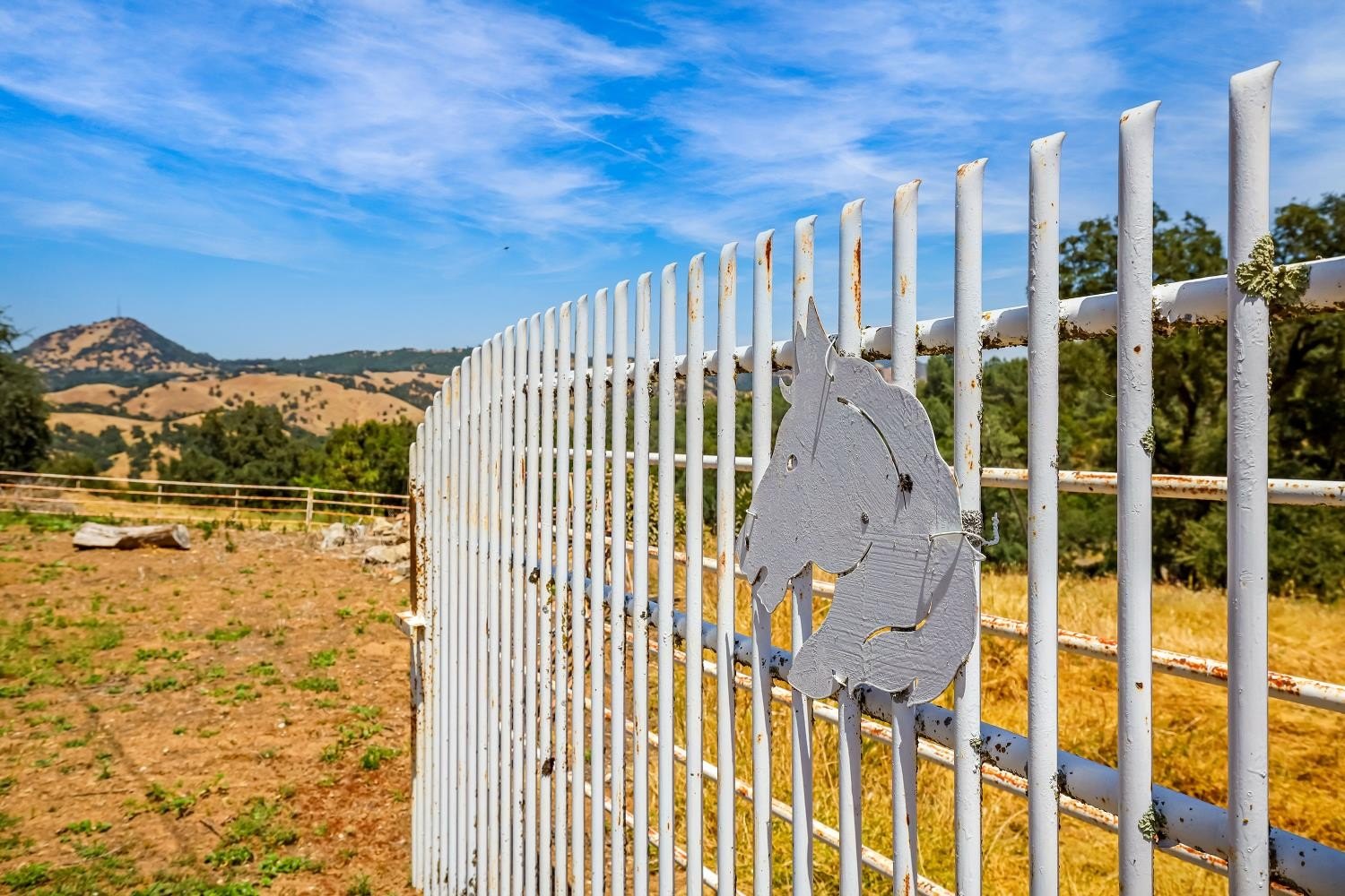 Mokelumne Hill, California, 95245, United States, 4 Bedrooms Bedrooms, ,3 BathroomsBathrooms,Residential,For Sale,1844920