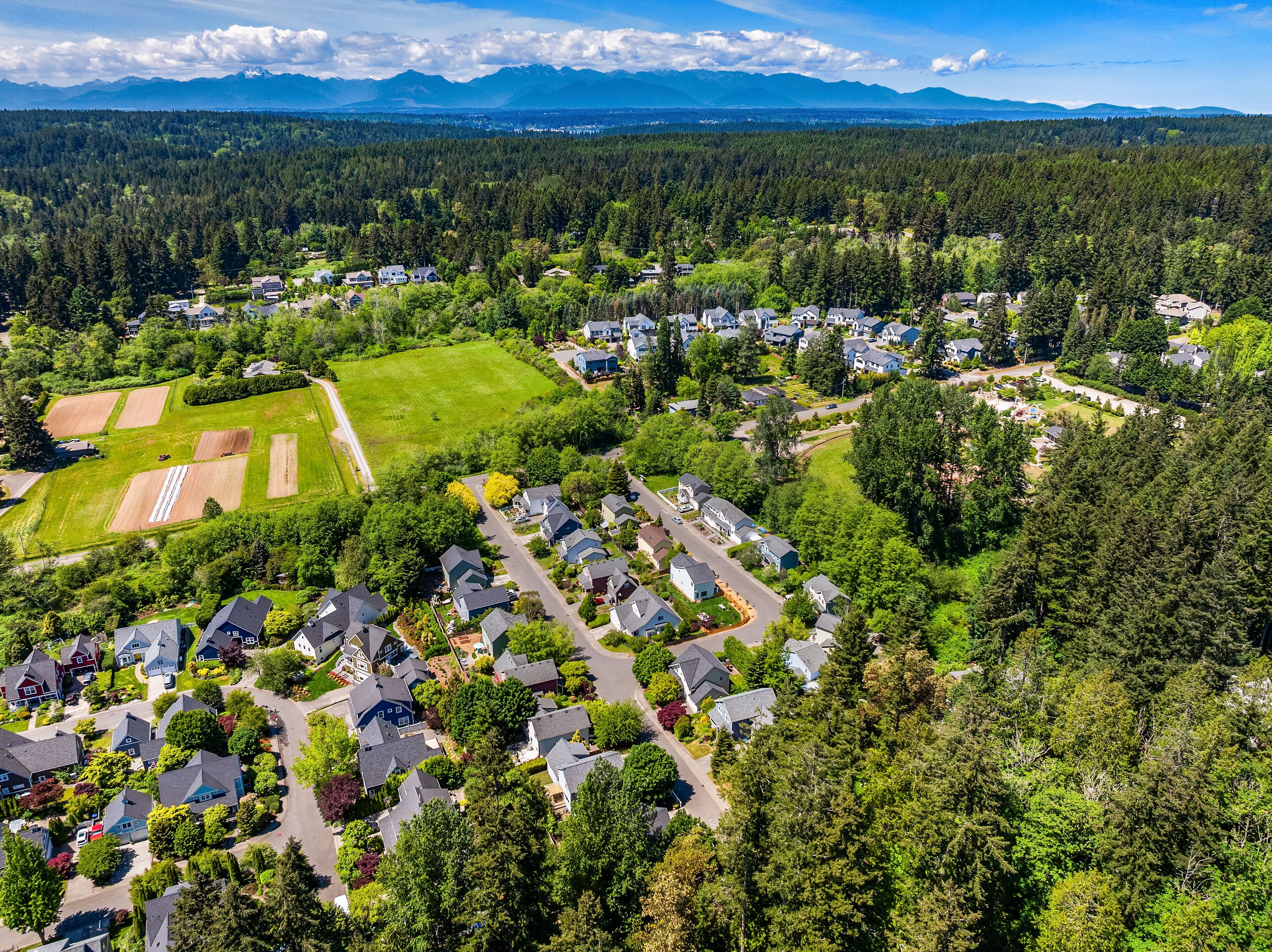  705 Moji Lane NW, Bainbridge Island, WA 98110 - 物件實景