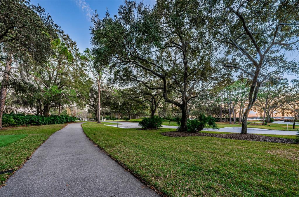 Palm Harbor, Florida, 34685, United States, 4 Bedrooms Bedrooms, ,3 BathroomsBathrooms,Residential,For Sale,1990294