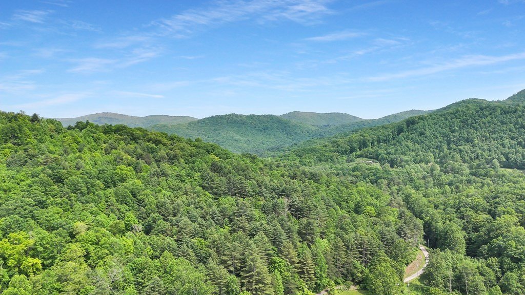 Blairsville, Georgia, 30512, United States, ,Residential,For Sale,1824066