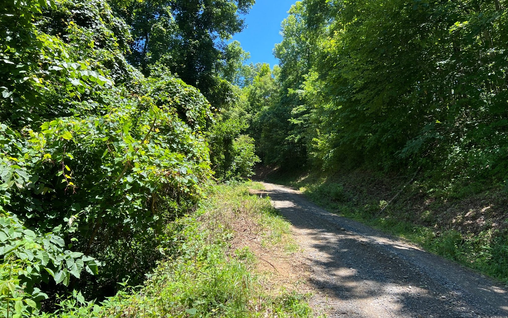 101ac Lori'S Mountain, Hayesville, North Carolina, 28904, United States, ,Residential,For Sale,101ac Lori'S Mountain,1304629