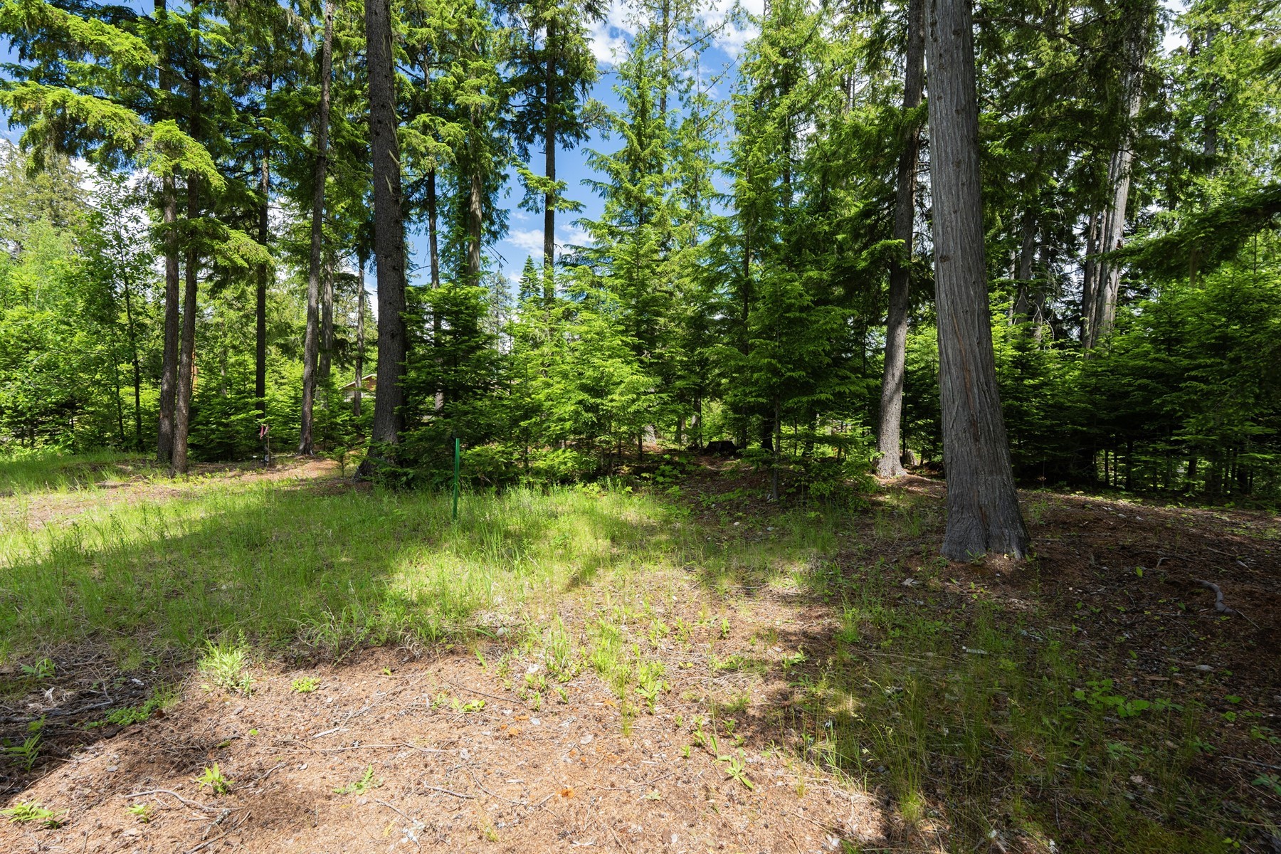  Bruin Rd Priest Lake Idaho - 物件實景