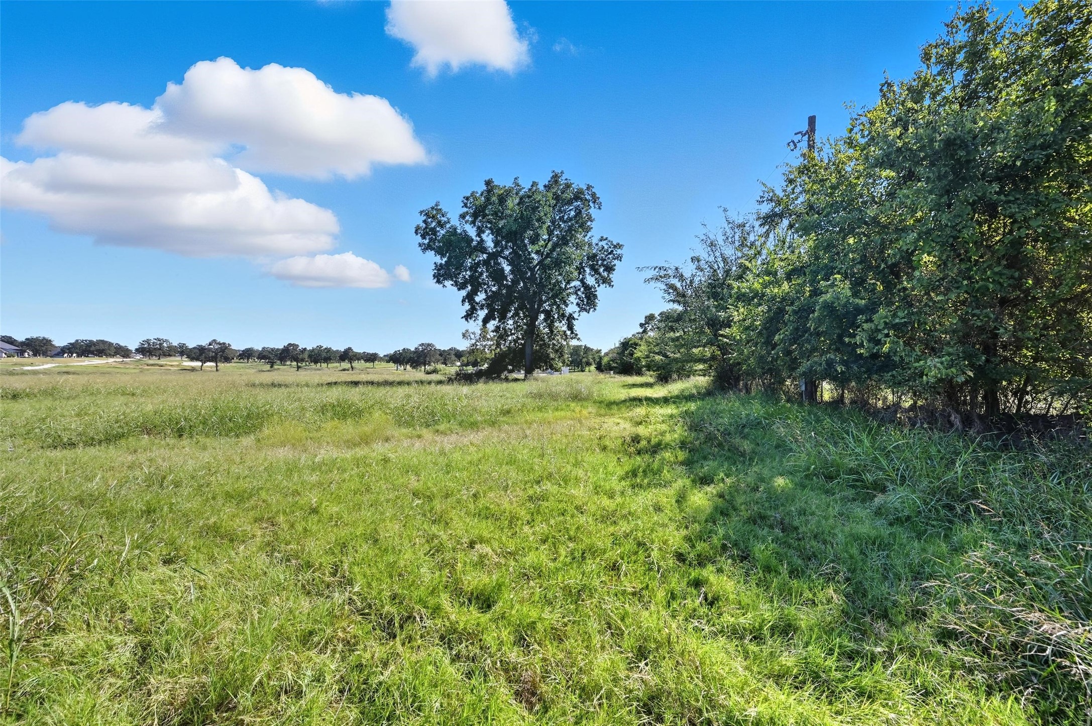 Decatur, Texas, 76234, United States, ,Land,For Sale,1958740