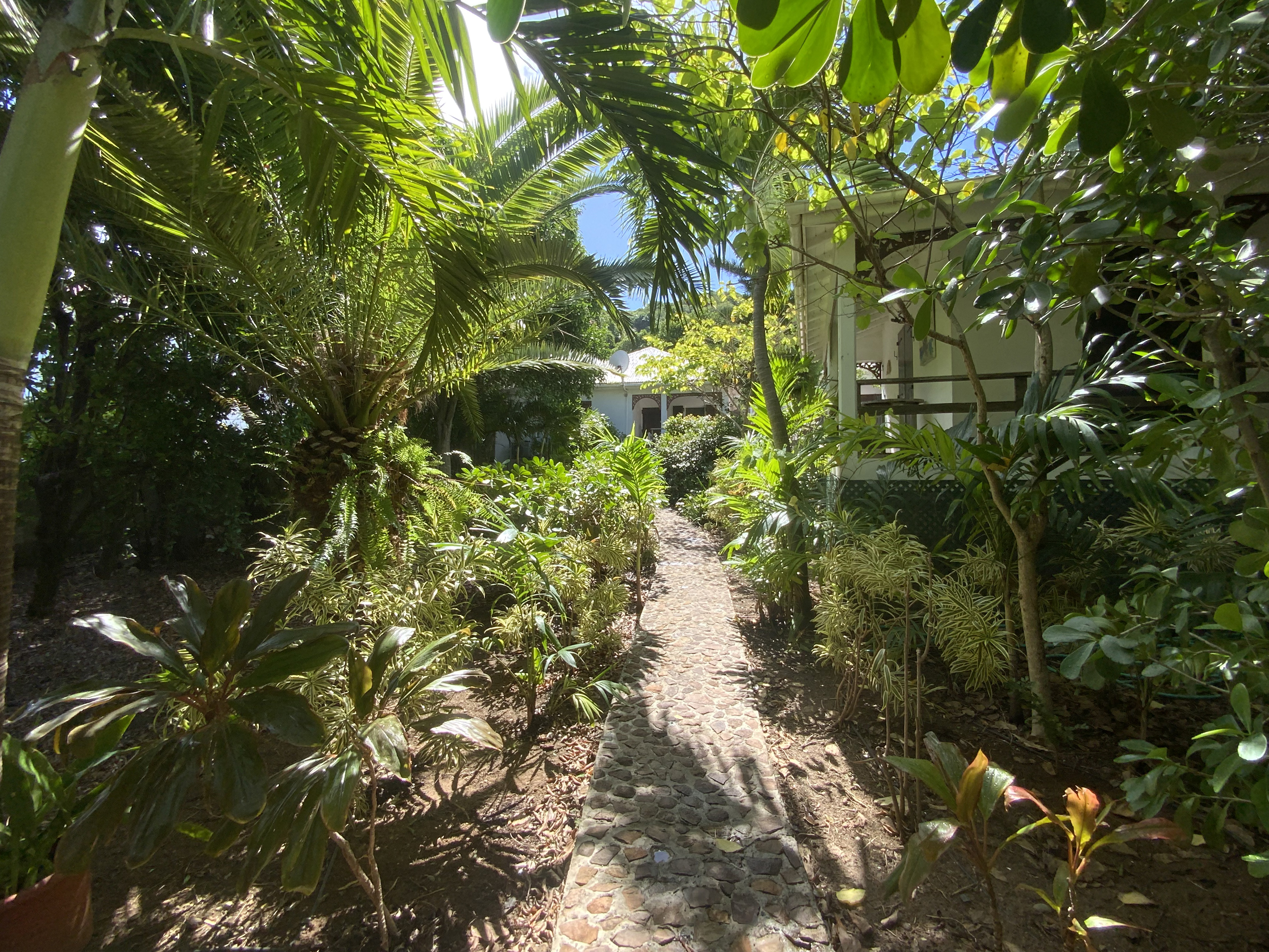 ObjectPhoto11