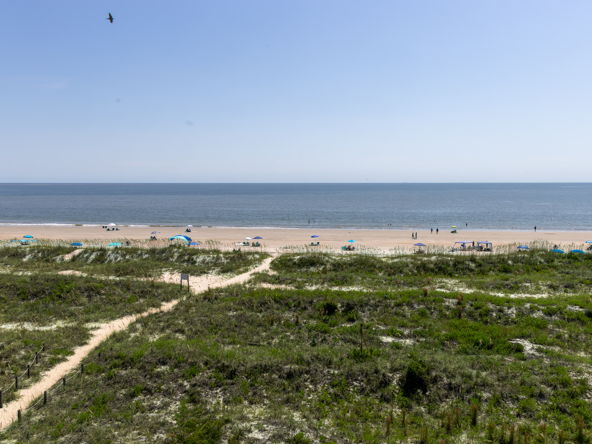 Hilton Head Island, South Carolina, 29928, United States, 1 Bedroom Bedrooms, ,1 BathroomBathrooms,Residential,For Sale,1944927