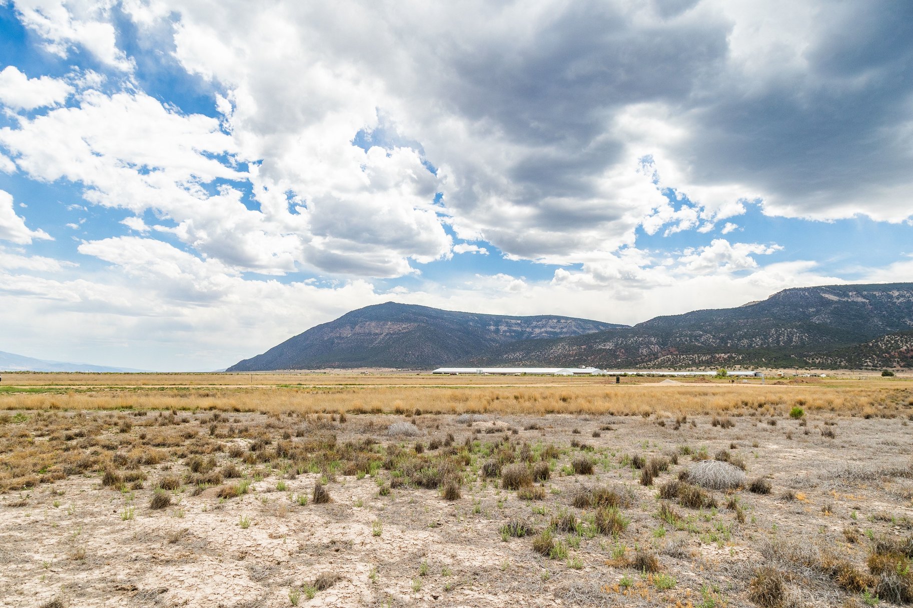  8.5-Acre Lots, No HOA, Stunning Horseshoe Mountain Views - 物件實景