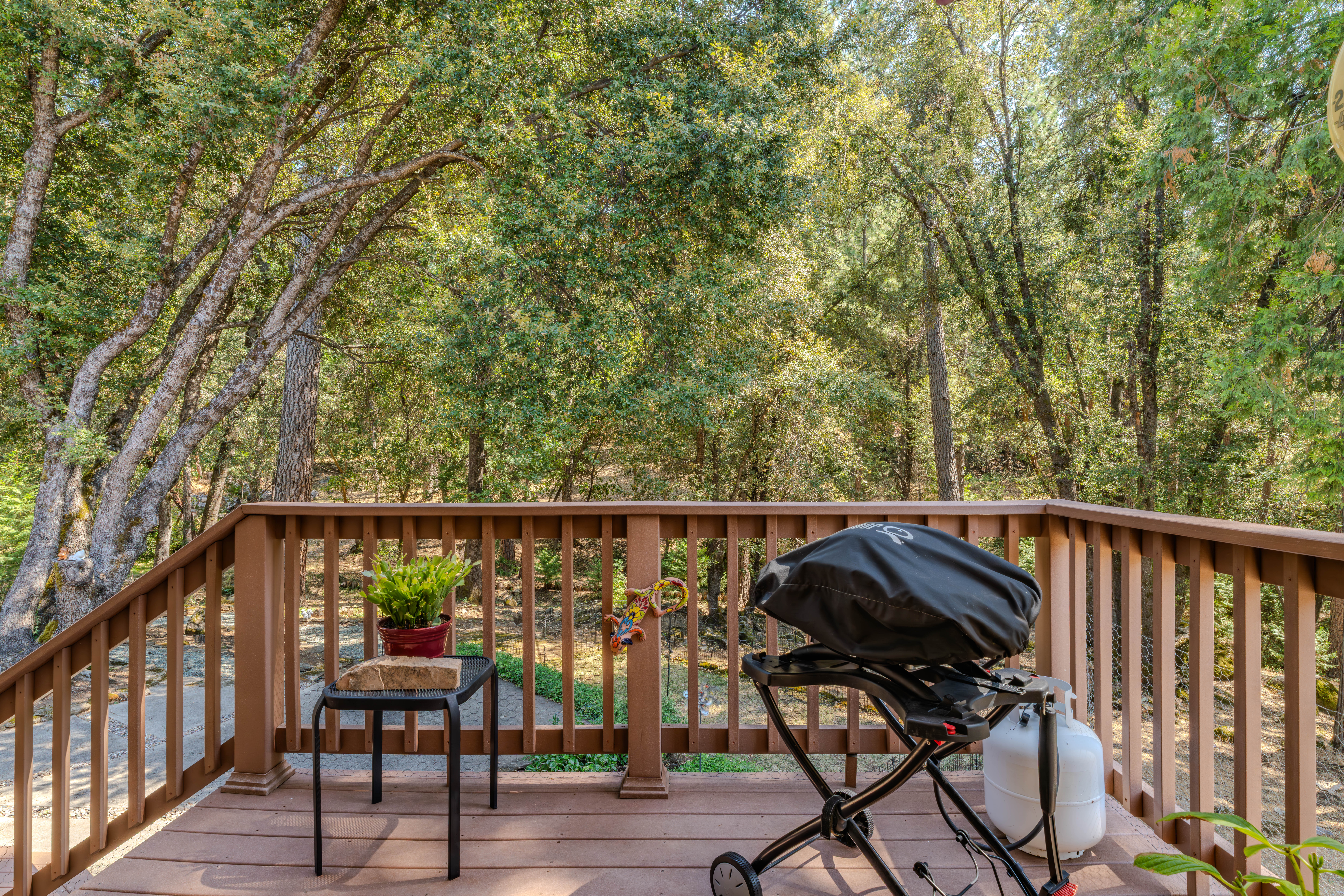 22590 Rocky Lane, Pioneer, CA 95666 - 物件實景
