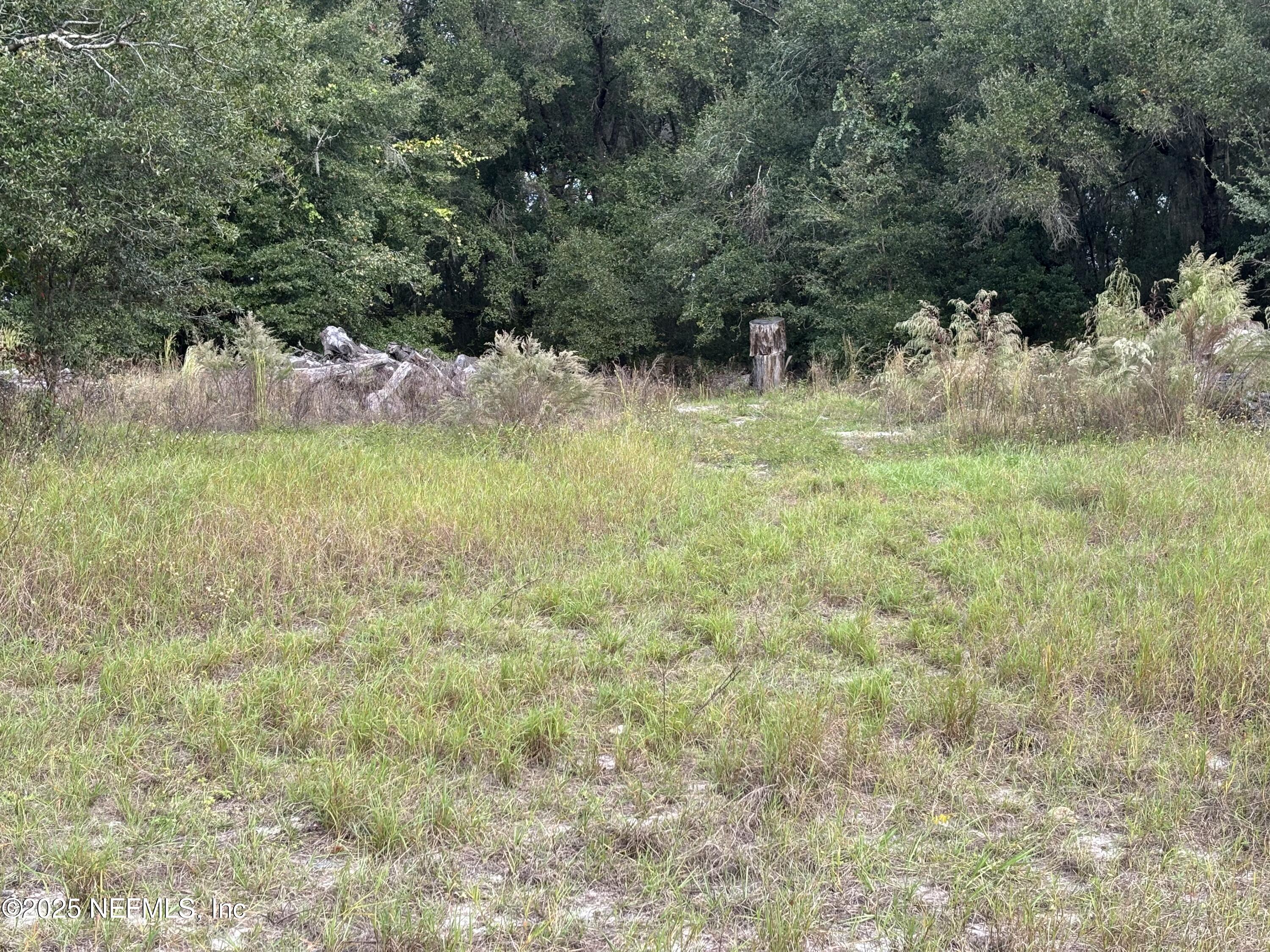 Apopka, Florida, 32712, United States, ,Land,For Sale,2002894
