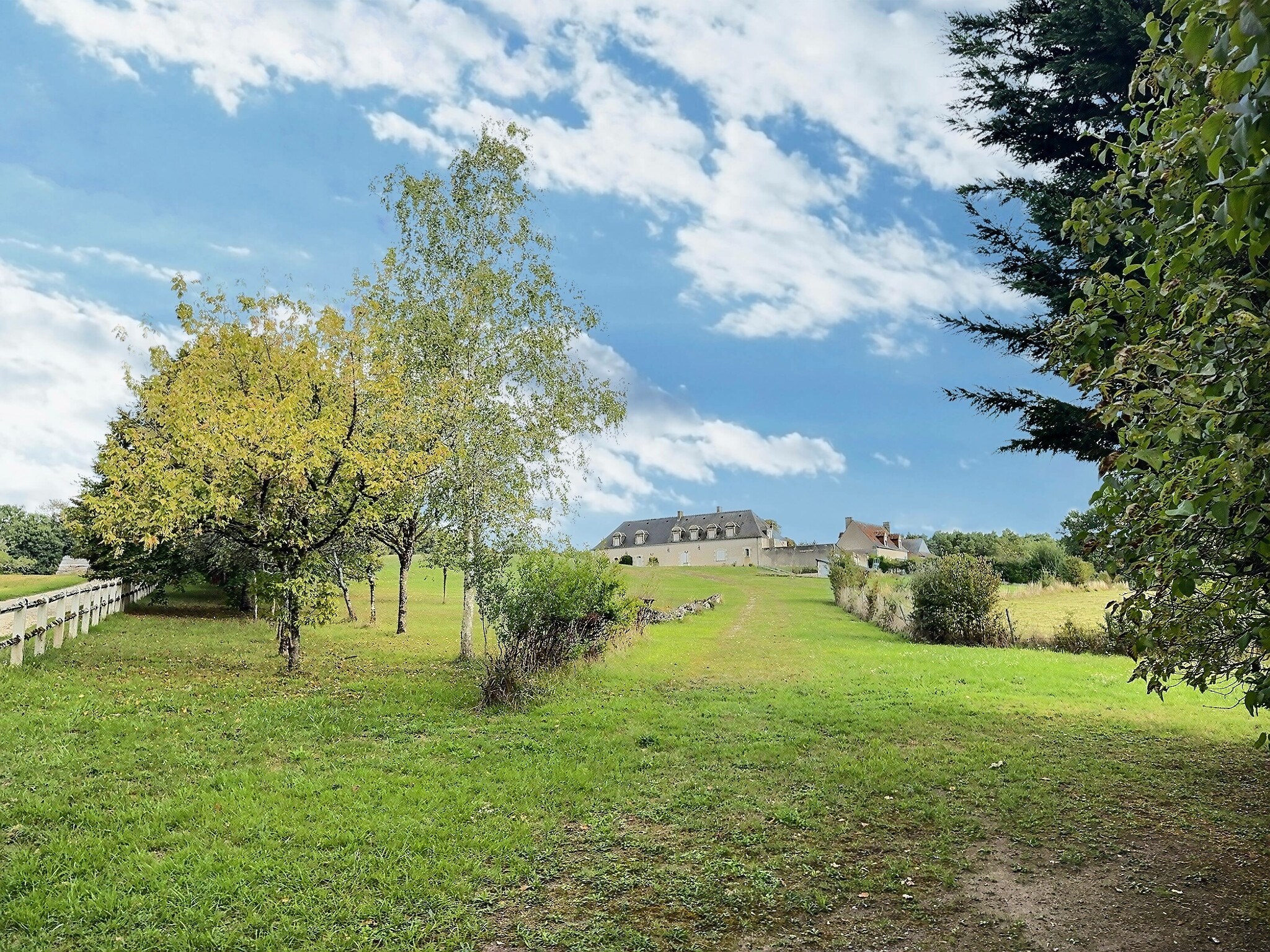  Loire Valley - Near Amboise / Tours - Exceptional Forest Estate – 180 hectares - 物件實景