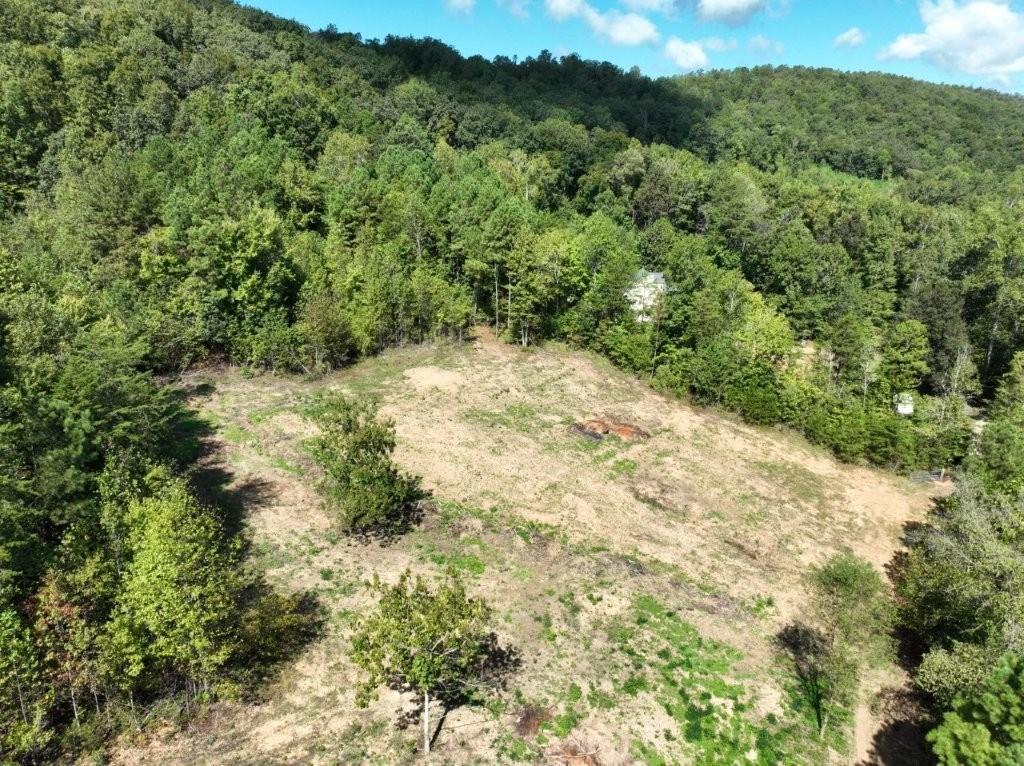 Ringgold, Georgia, 30736, United States, ,Residential,For Sale,1958114